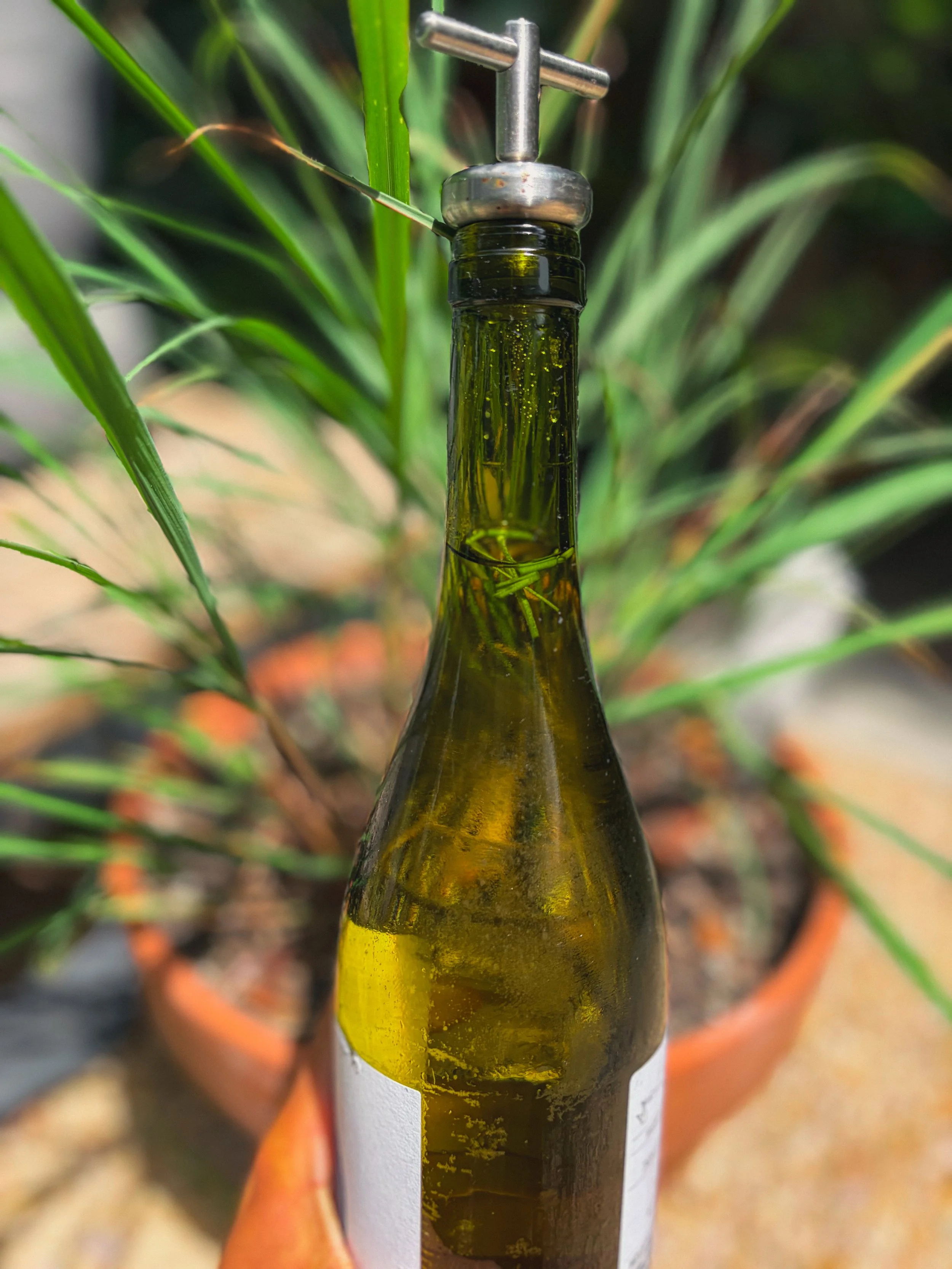Lemongrass steeped inside a biodynamic chardonnay and a crisper white blend bottle for almost two weeks • interesting...