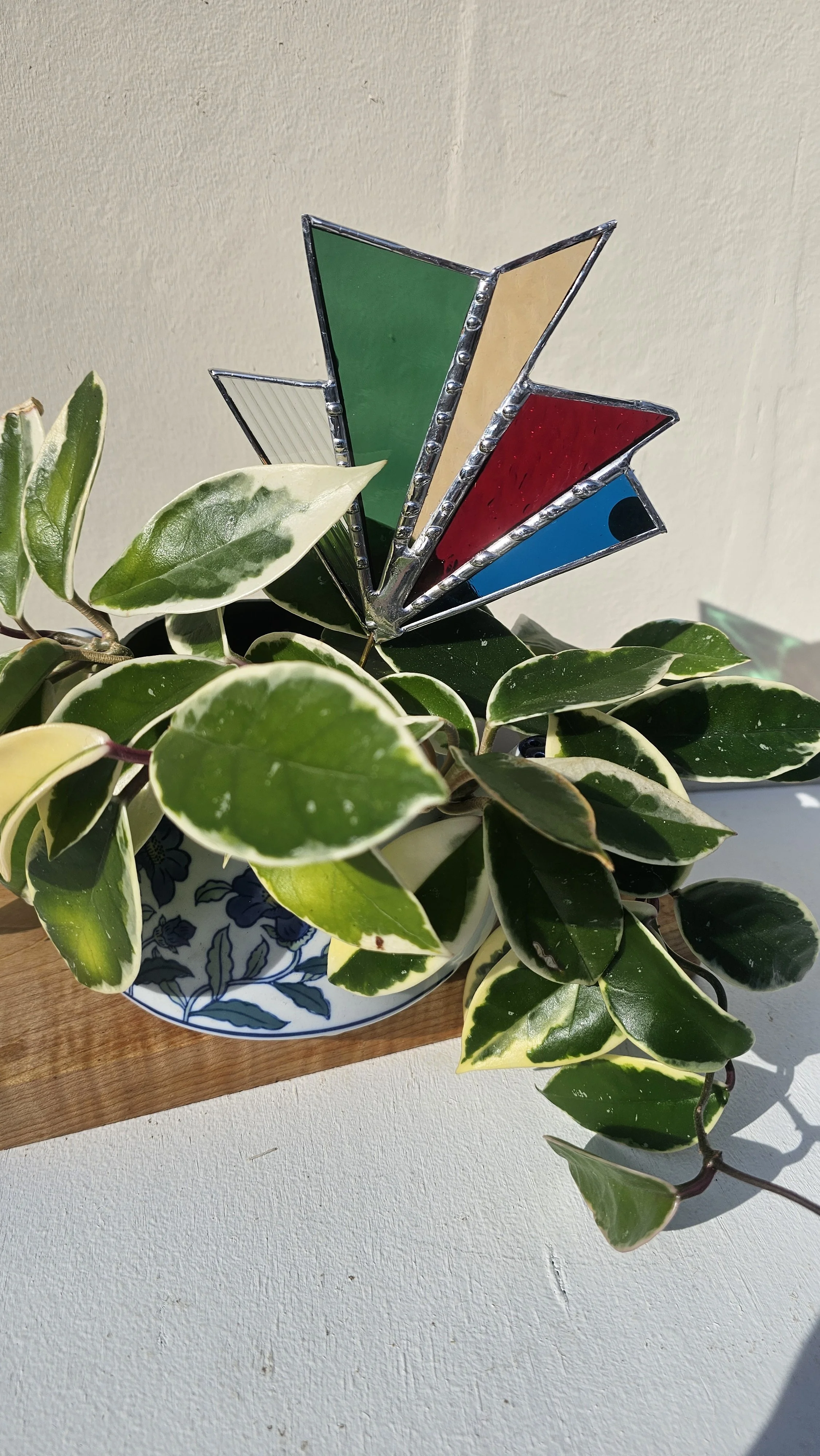 Large Rays Planter Art