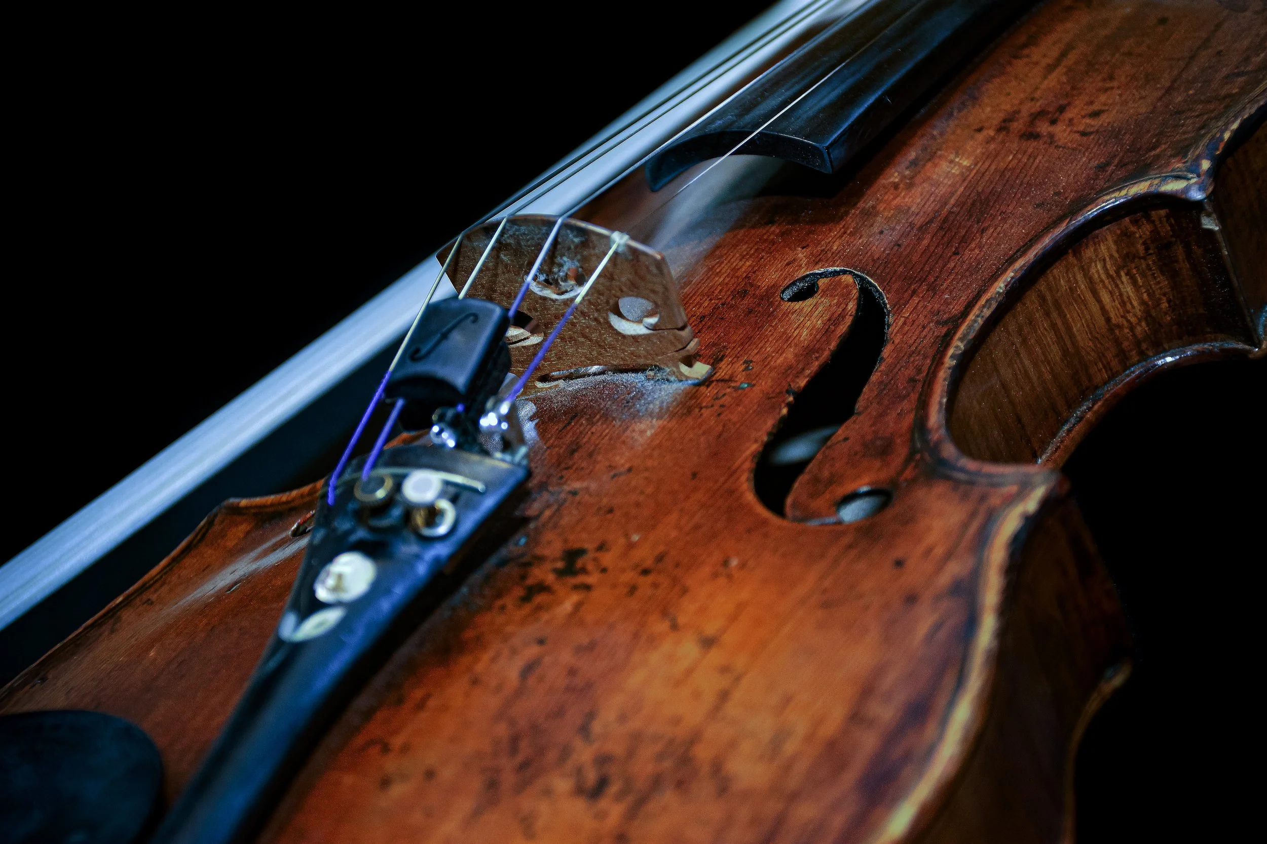 Close-up of a violin with visible strings, bridge, and carved f-hole against a black background.