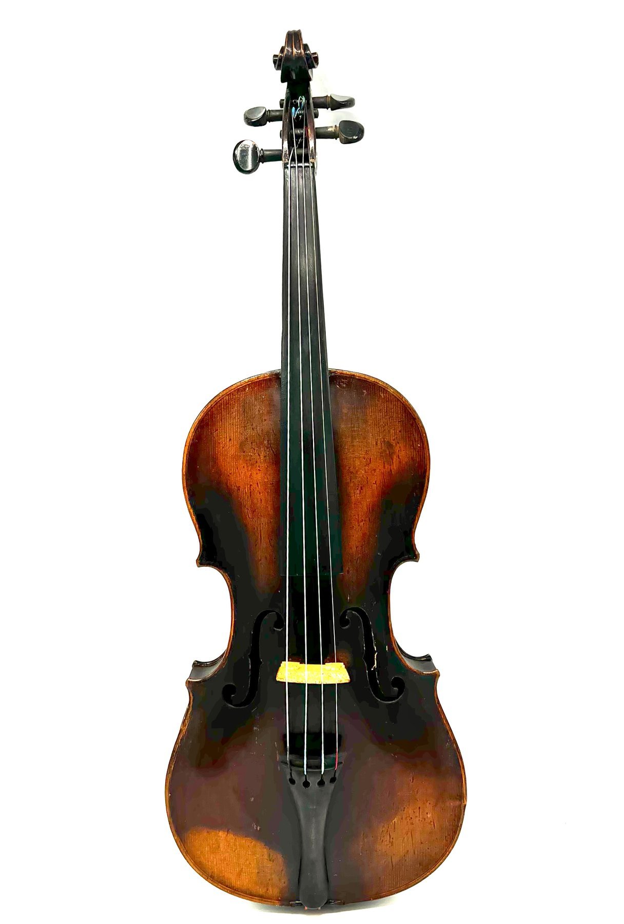 Labelled Stainer - 4/4 - - Violin 2023