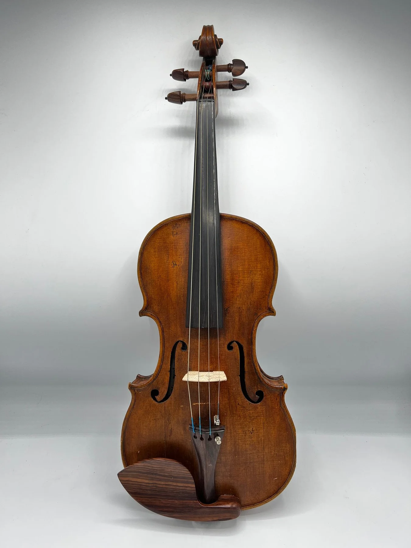 Labelled Johannes Mantegaria - 4/4 2023