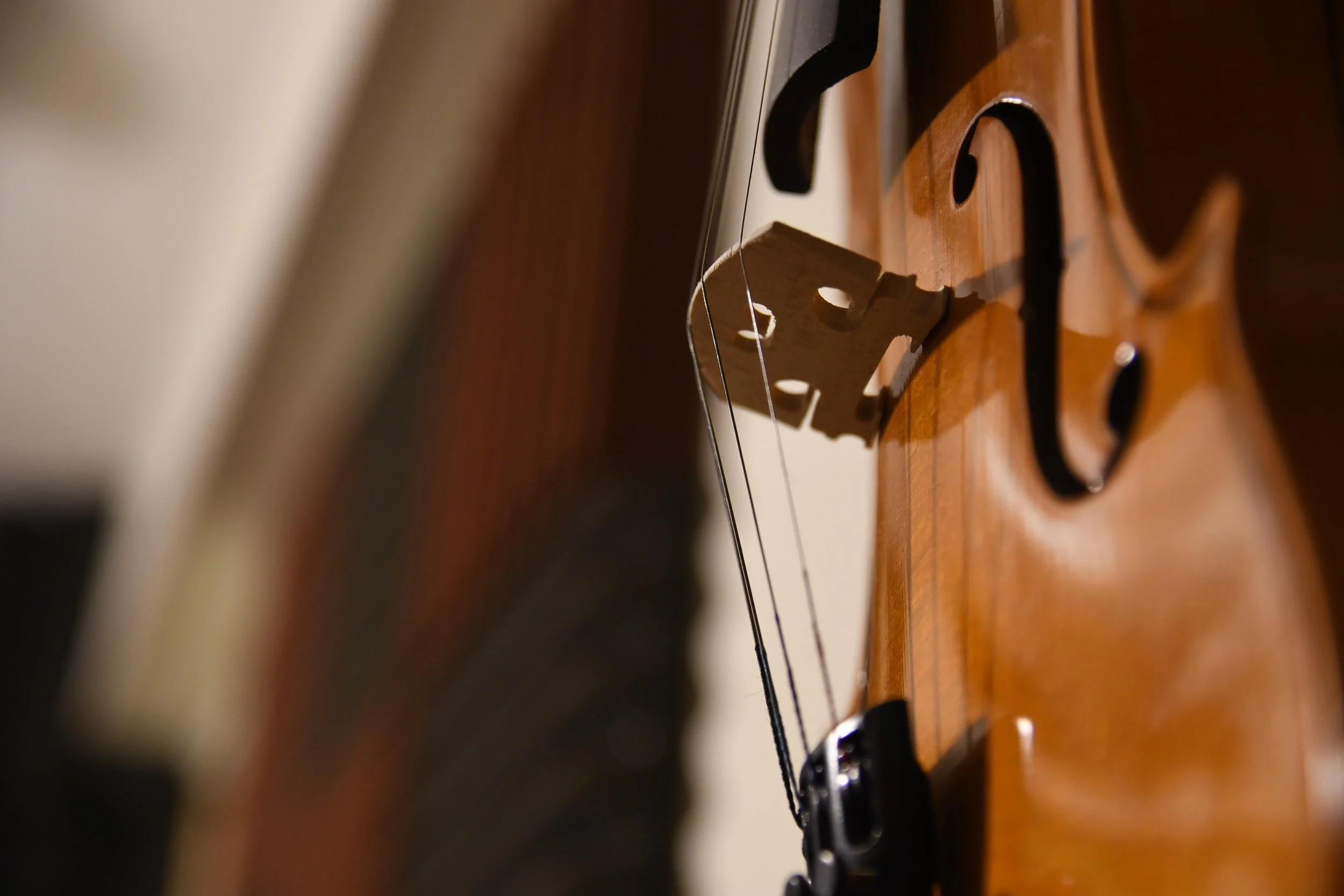 Close-up of a violin's bridge, strings, and fingerboard.