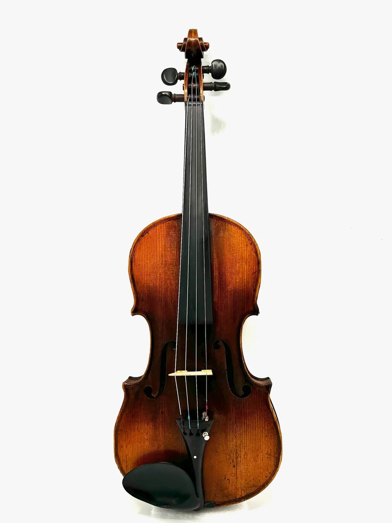Labelled Eugenio Degani - 4/4 - - Violin 2024