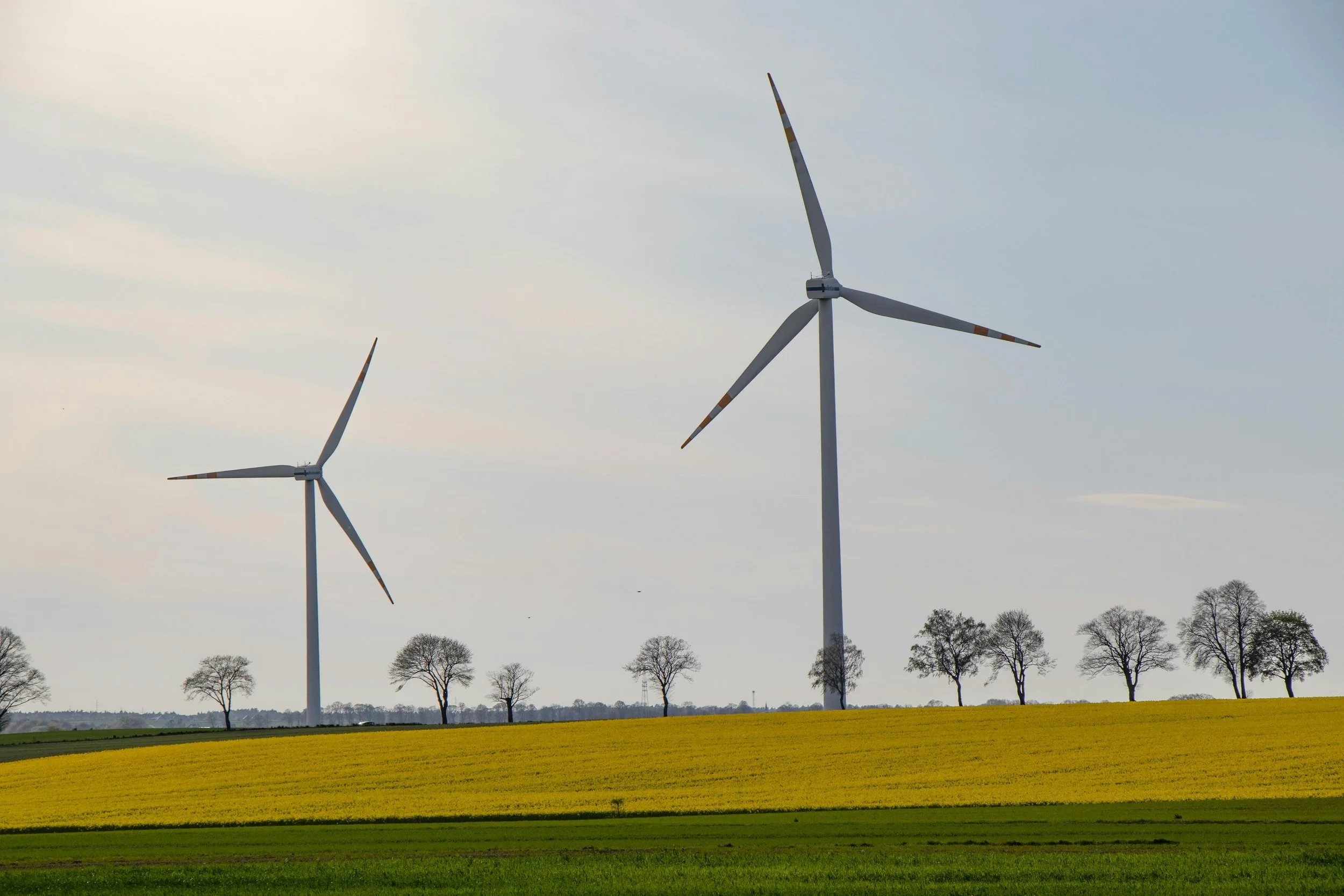 Two wind turbines in a rural landscape with trees and grassy fields.