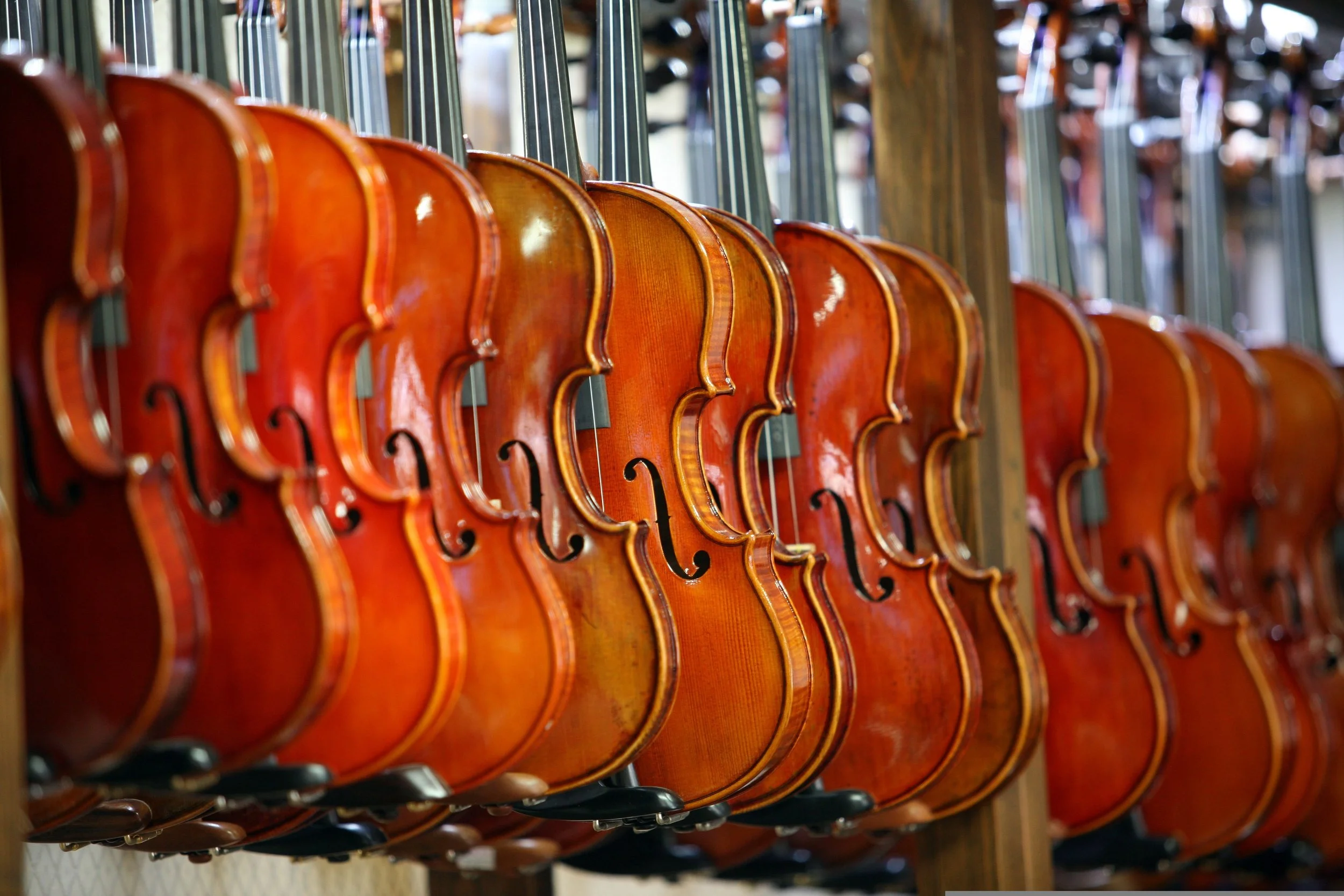 A row of violins hanging on a wooden rack in a music store.