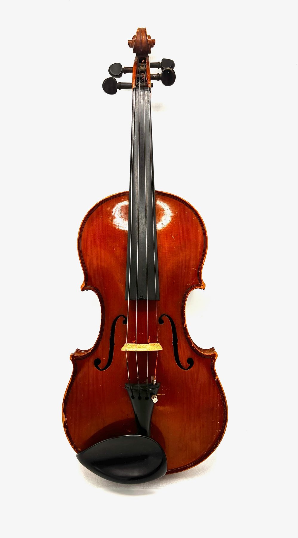 Labelled Nicolaus Amatus - 4/4 2025