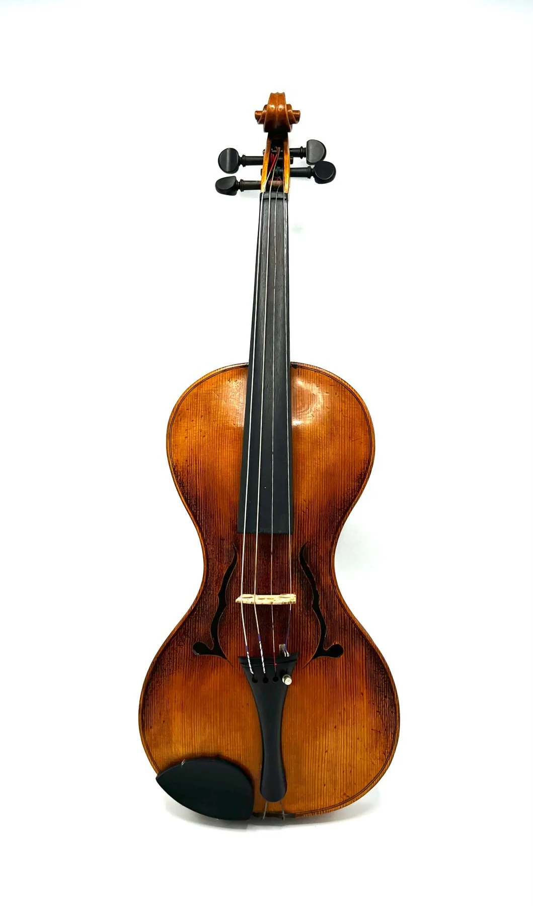 Labelled Nicola Gusetto  2024