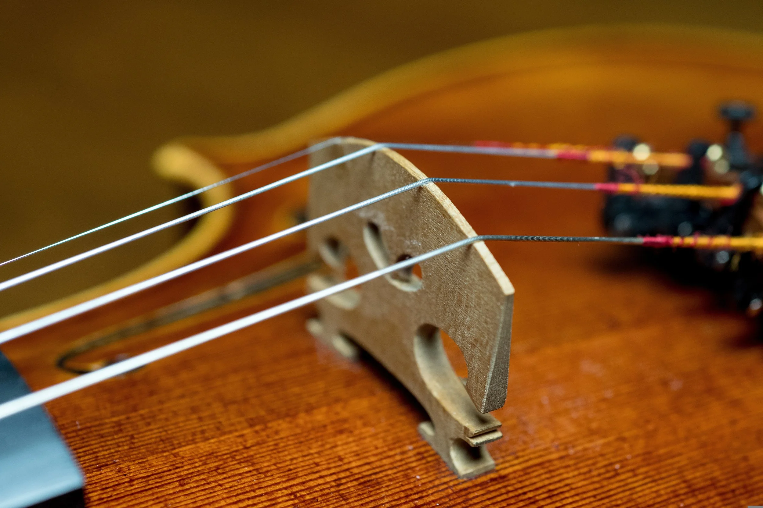 Close-up of a guitar bridge with strings stretched over it, showing part of the wooden body and fine tuning pegs in the background.
