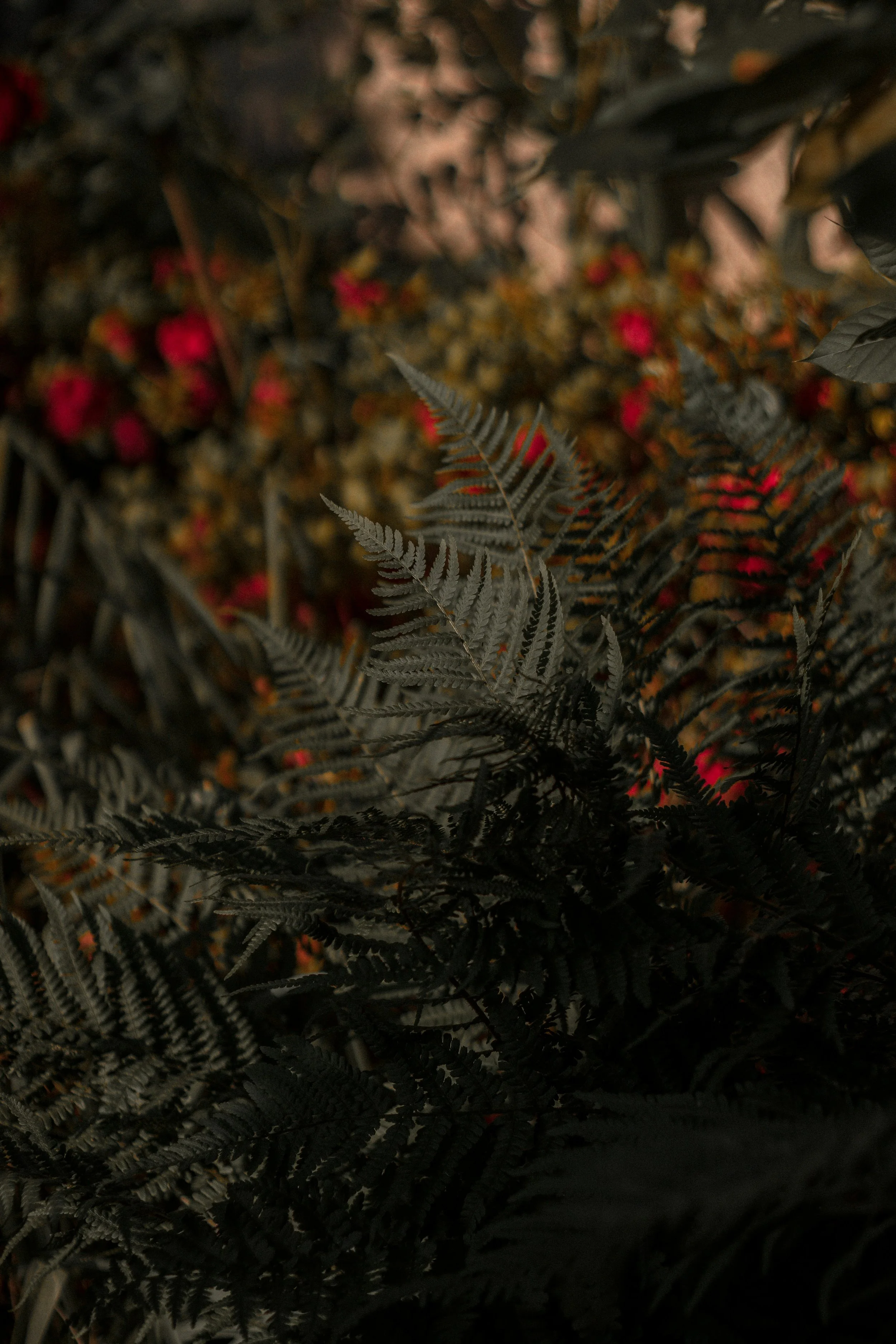 Photo by Valentin Lacoste on Unsplash