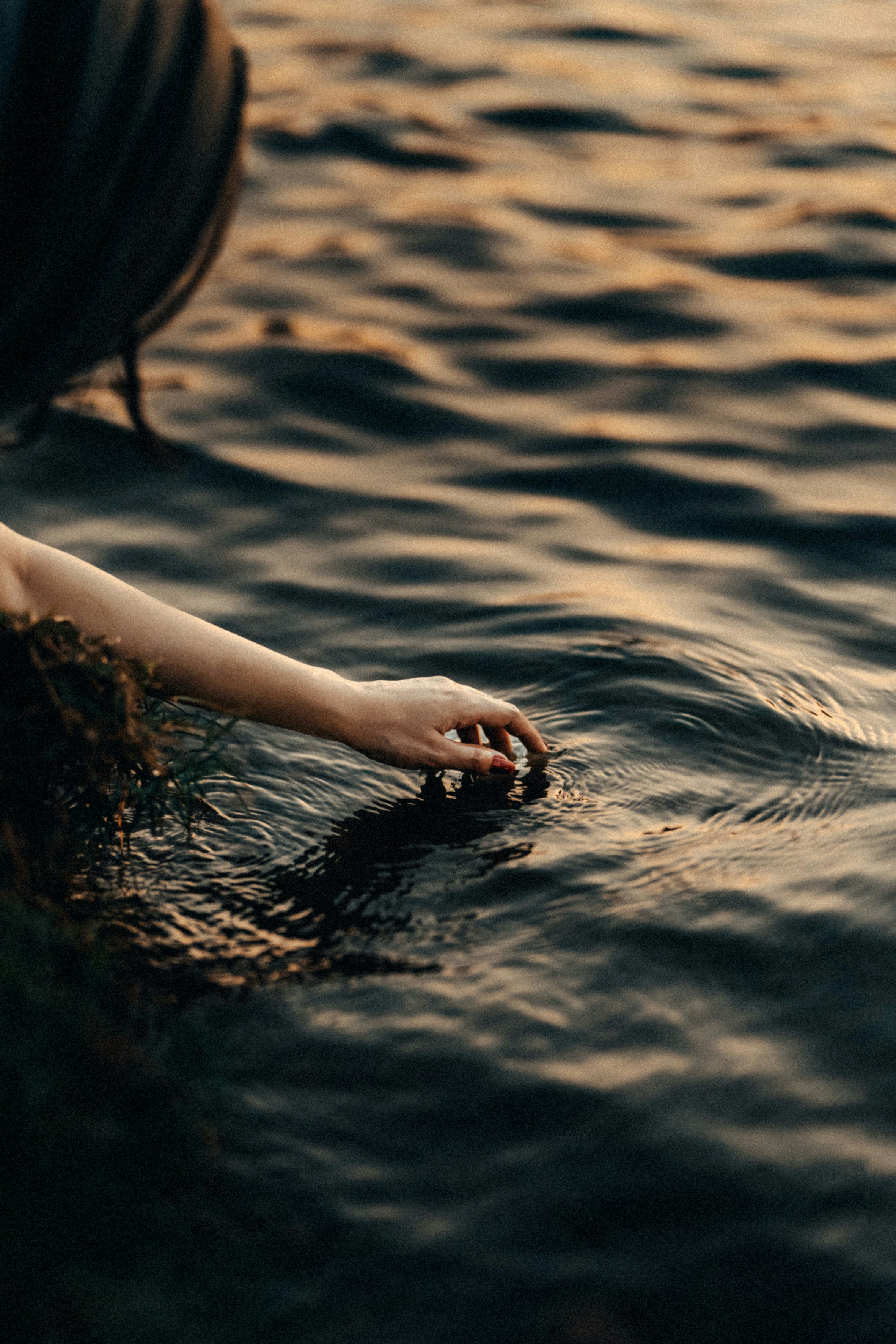 Photo by Zana Pq on Unsplash
