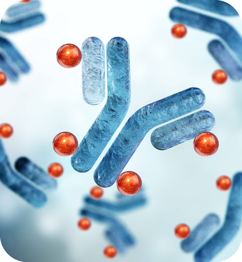 Illustration of bacterial cells with blue, rod-shaped bacteria and red spherical bacteria.