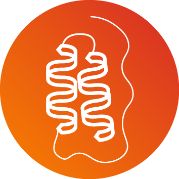 A simple white line drawing of a human brain on an orange gradient background.