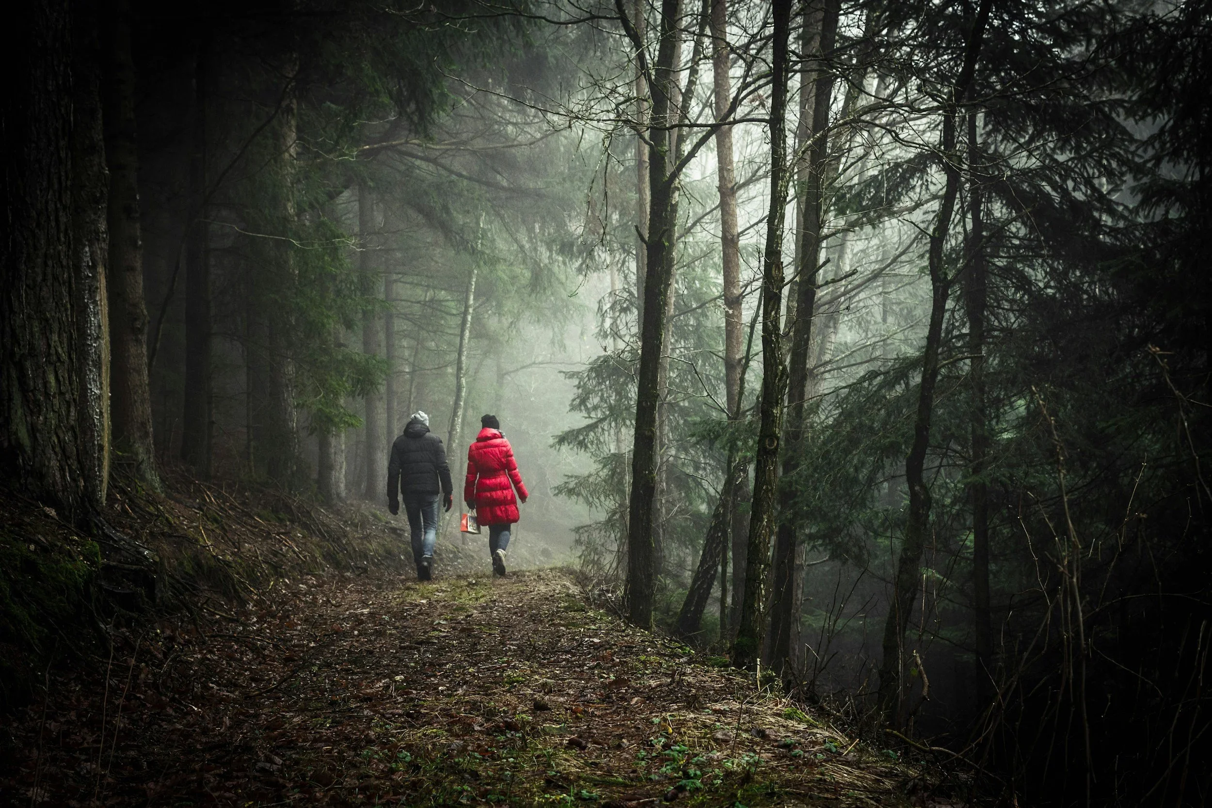 Two people walking along a foggy forest trail, one wearing a black jacket and the other in a red jacket, carrying a small bag.