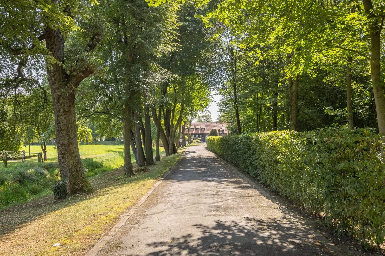 The Legacy_Studio1.5_Studio_eineinhalb_41.jpeg