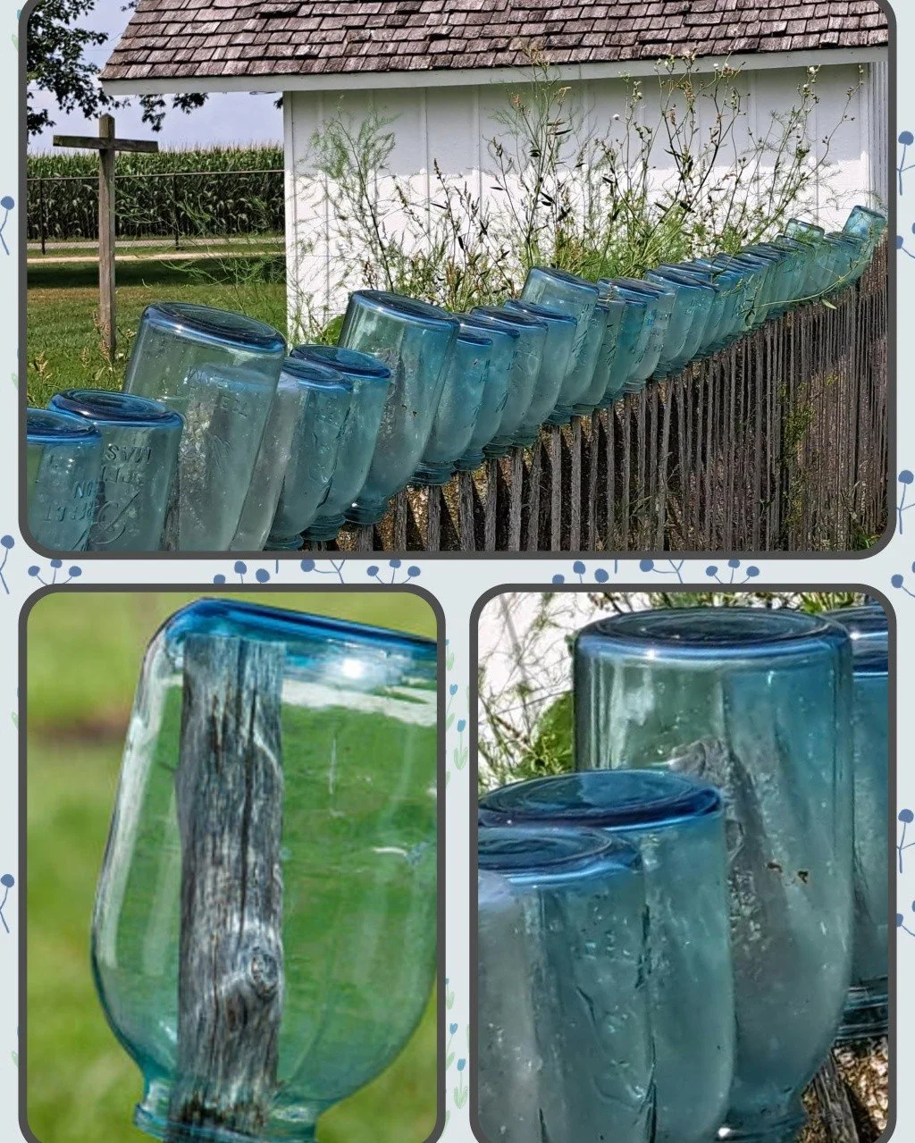 Simply Rescued, 634 Broadway, Davisburg open Thurs-Sun 11-5.

Blue glass canning jars - we love them  too! Jars were aired like this to make sure they were good and dry before using for food storage. 

Maybe we don't have this many, but stop in and s