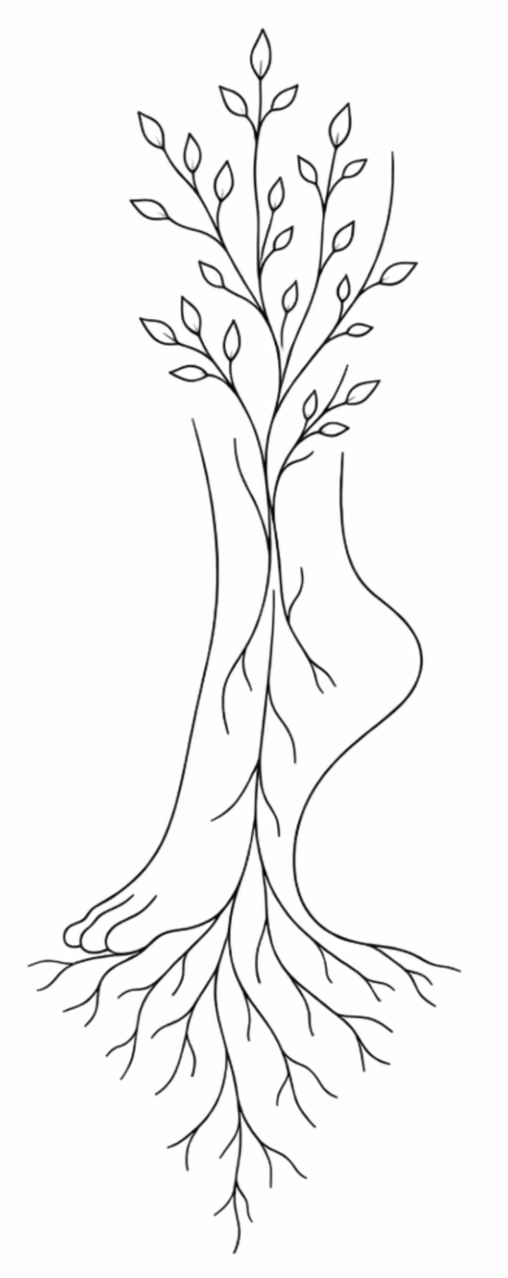 Une illustration schématique d'un arbre avec ses racines, ses branches et ses feuilles, en ligne noire sur fond blanc.