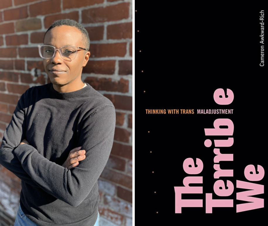 Pisati (teoriju) kao (depresivna) trans osoba, deo II