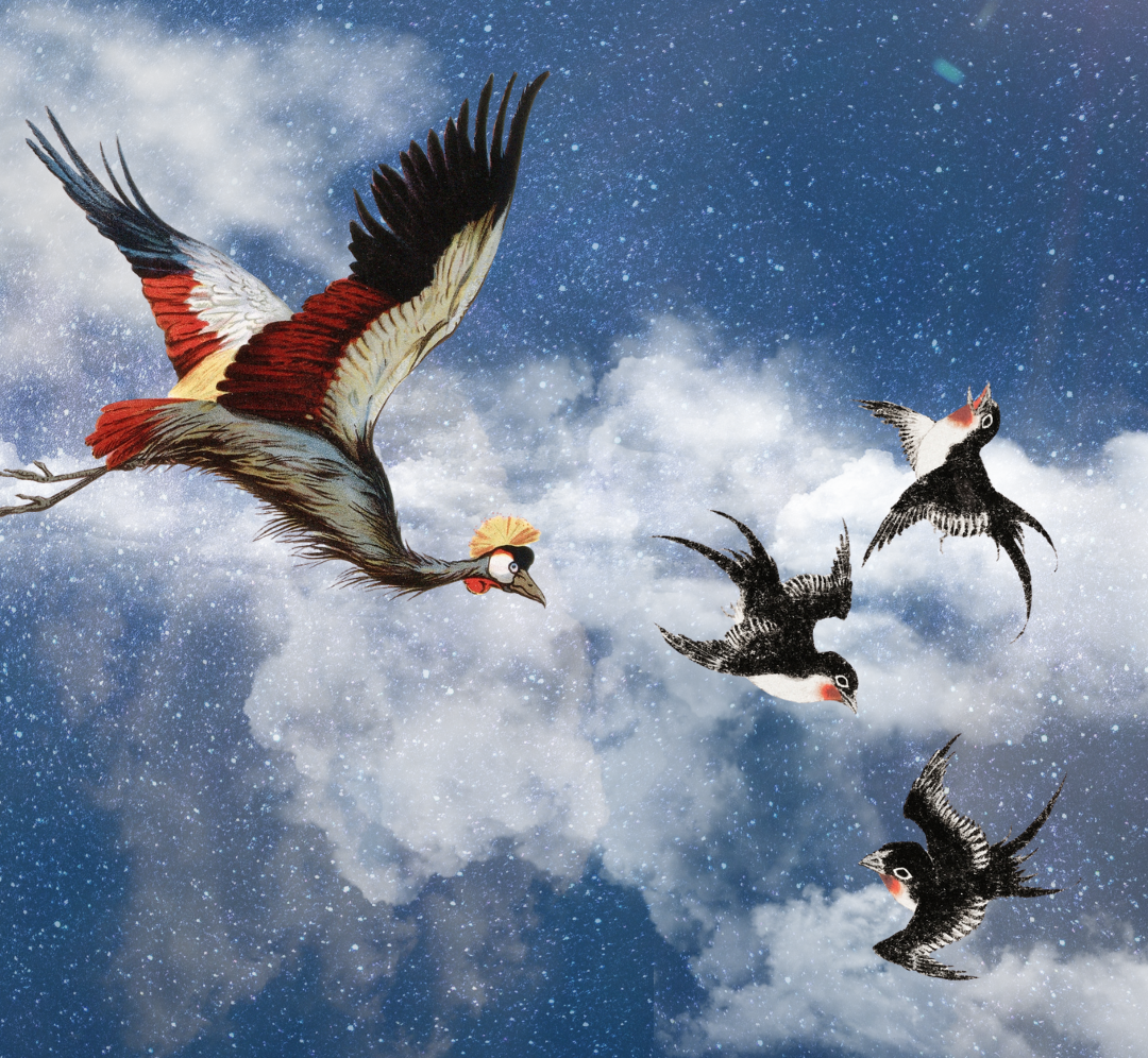 Feminizam, nacionalizam i modernizacija