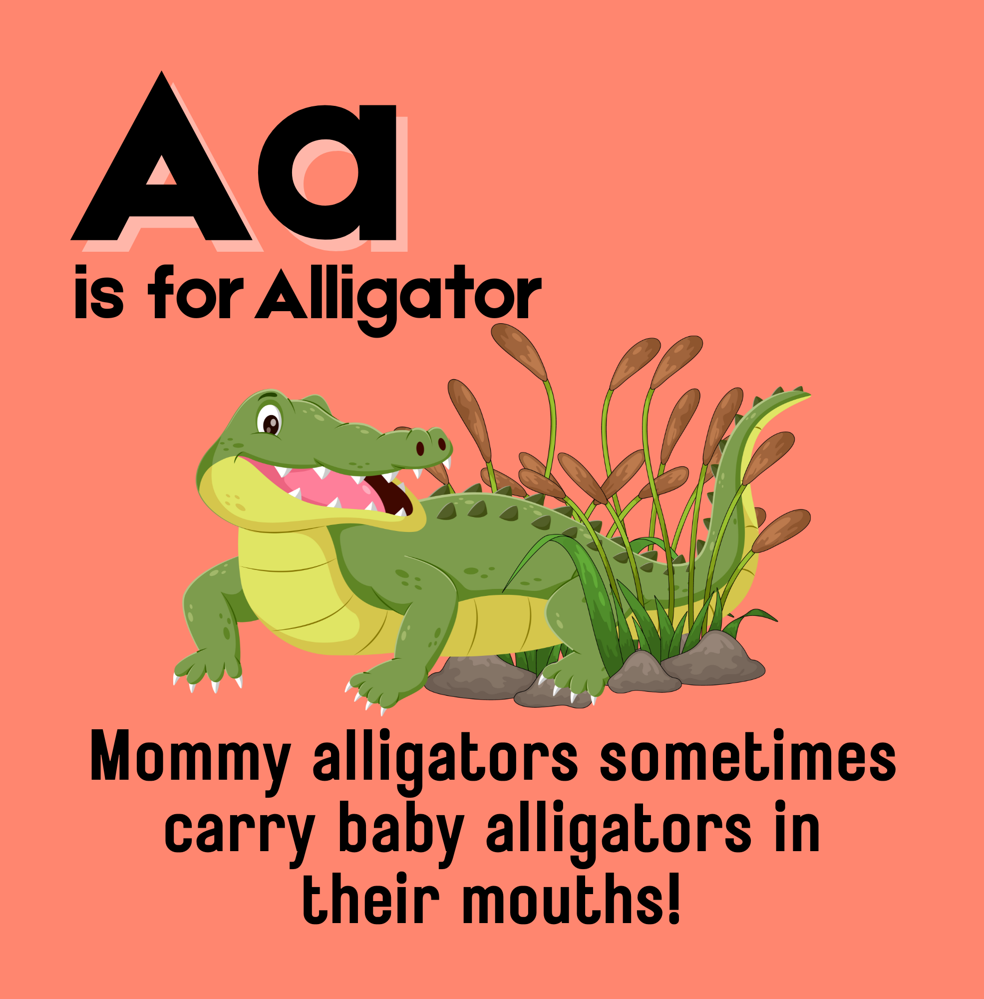 The ABCs Of Scary Animals (8.625 x 8.75 in) (2).png