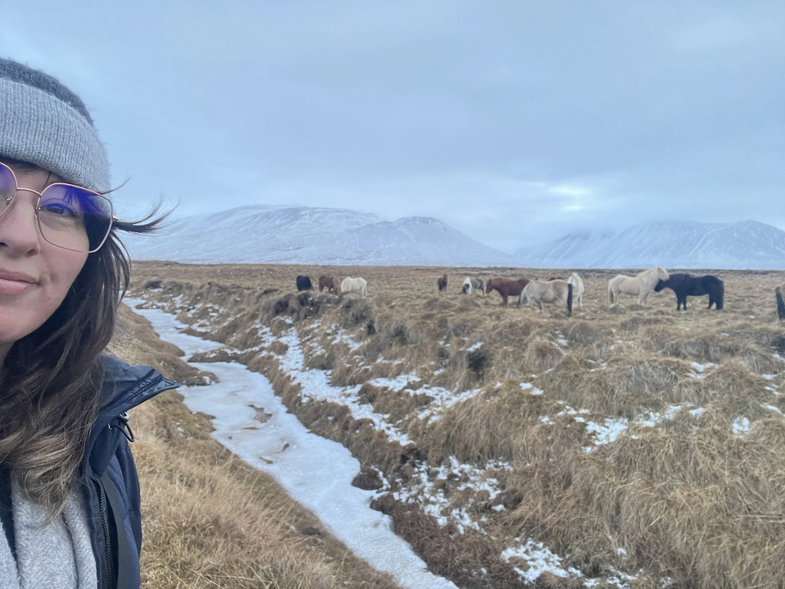 A woman wearing glasses, a gray beanie, and a dark jacket taking a selfie in a cold landscape with horses grazing on dry grass and snow, with mountains in the background.
