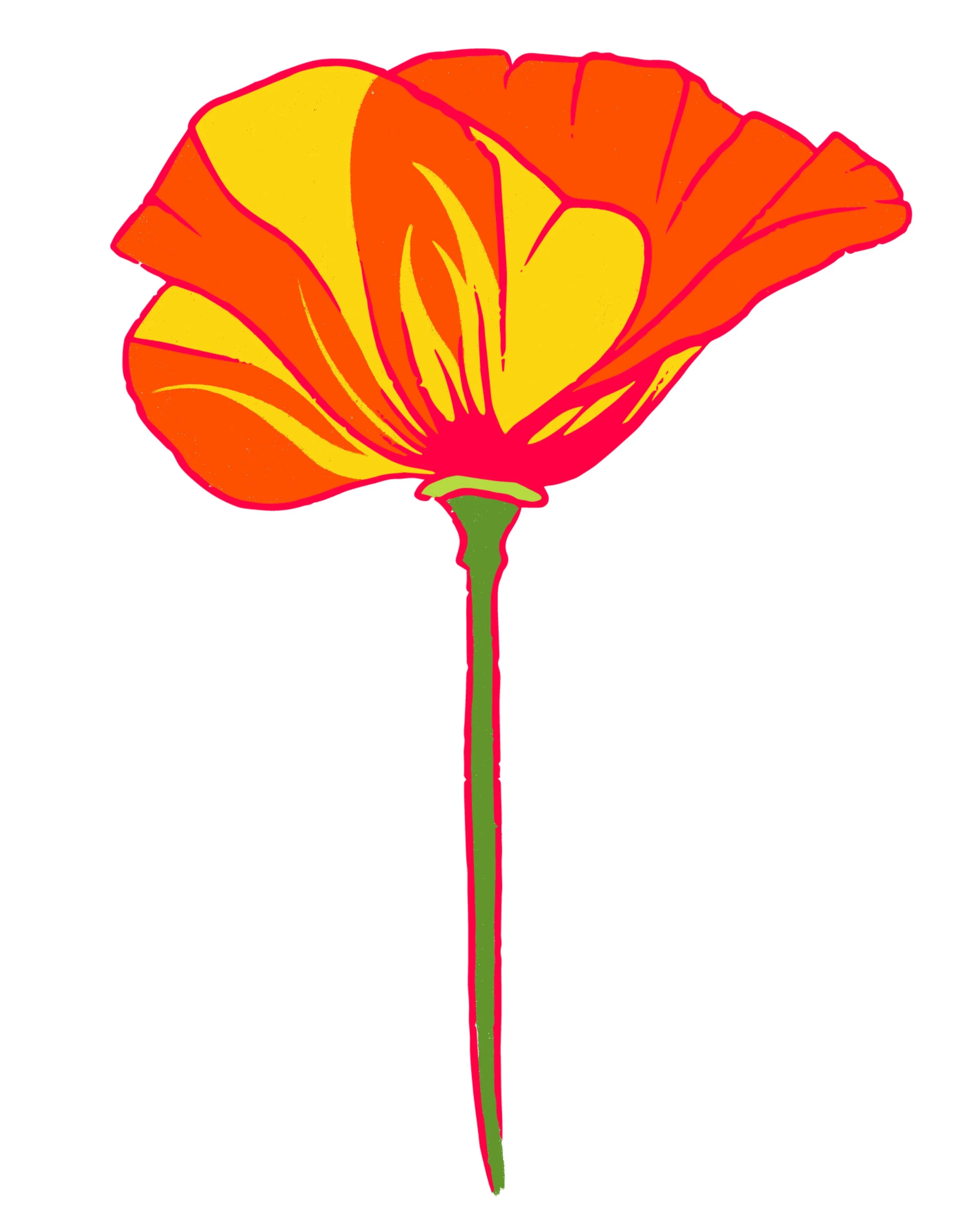Digital illustration of an orange and yellow flower with a long green stem.