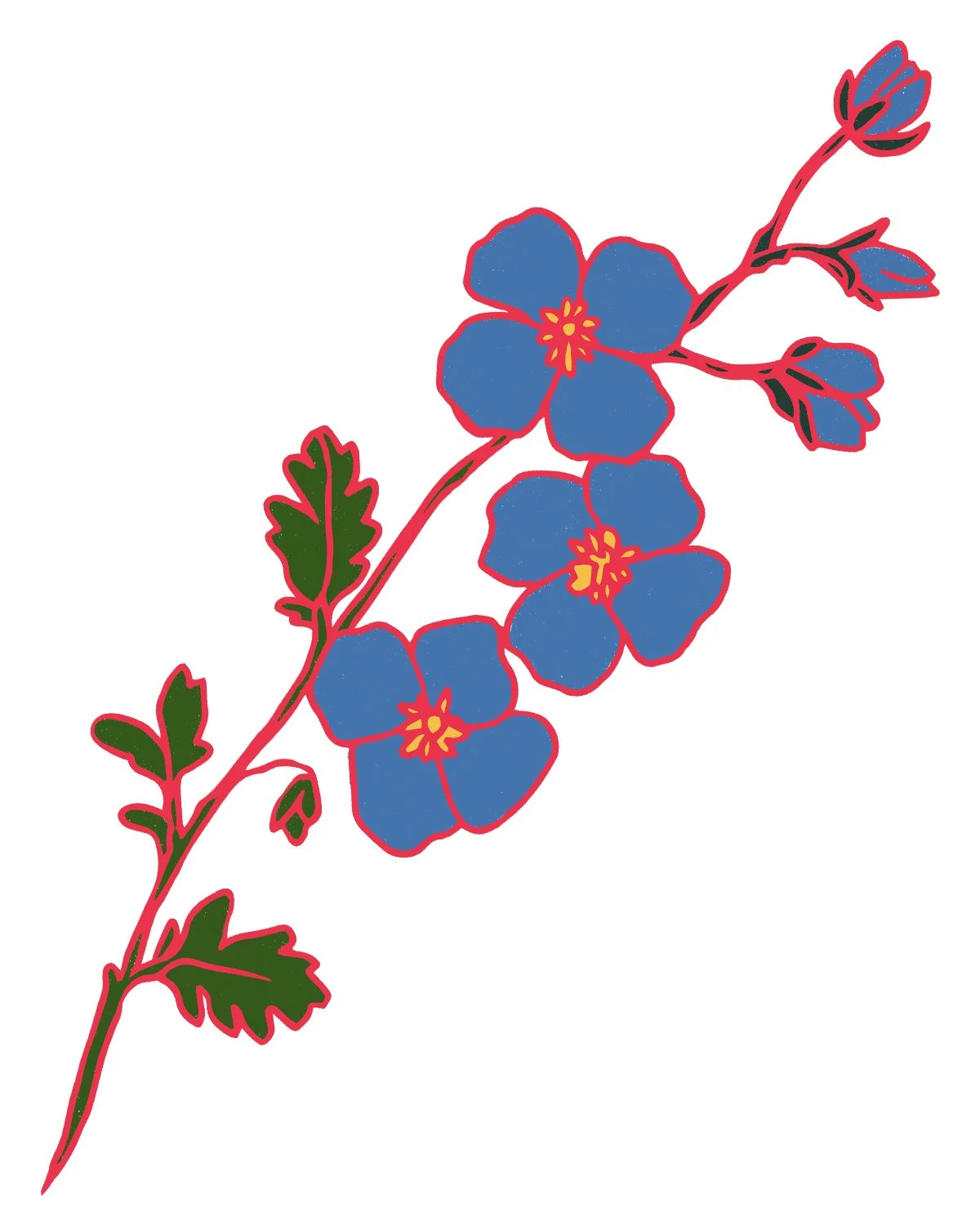 Illustration of a blue flowering plant with green leaves and red outlines, featuring five-petaled flowers and small buds.