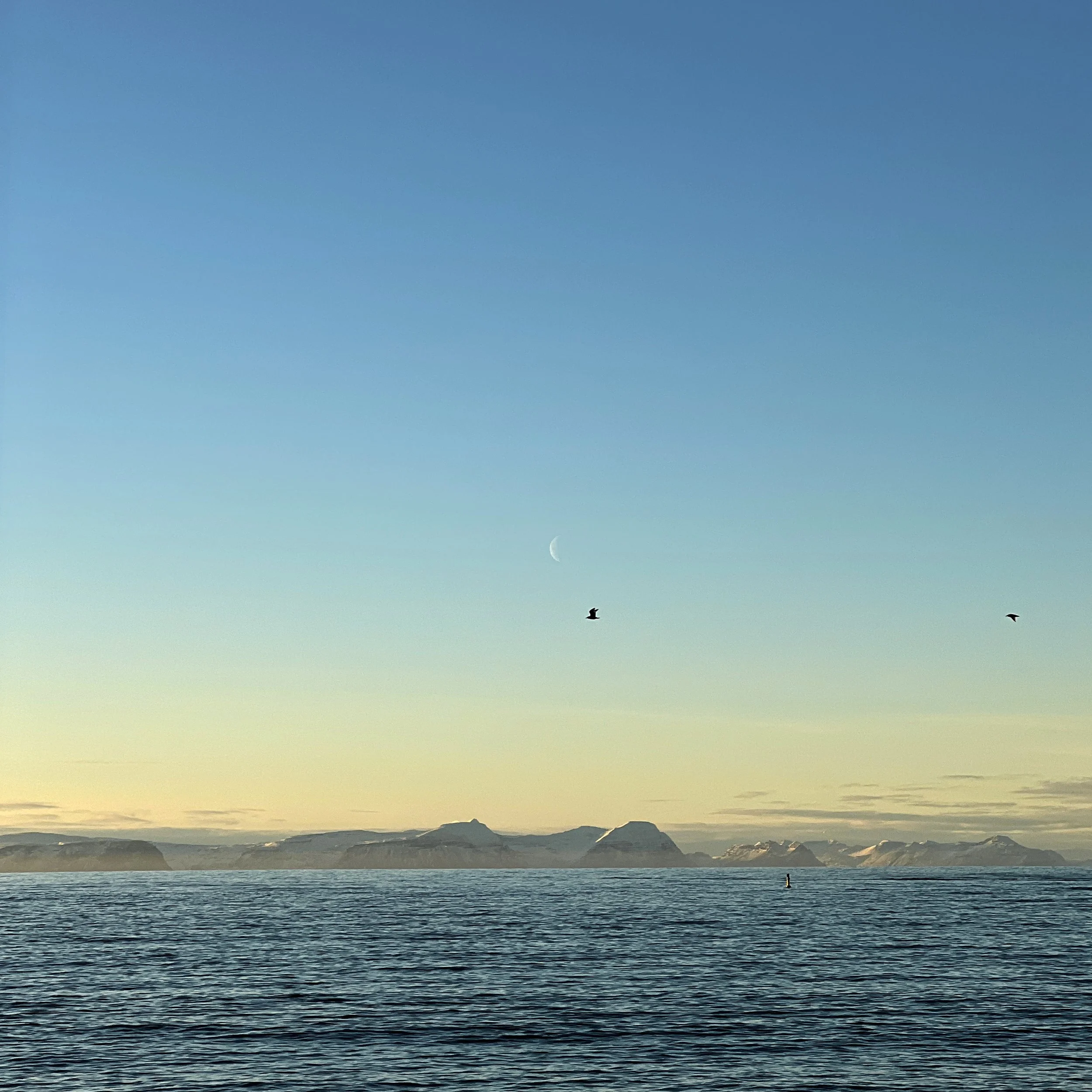 A seascape during sunset with mountains in the background, a crescent moon in the sky, and two birds flying over the water.