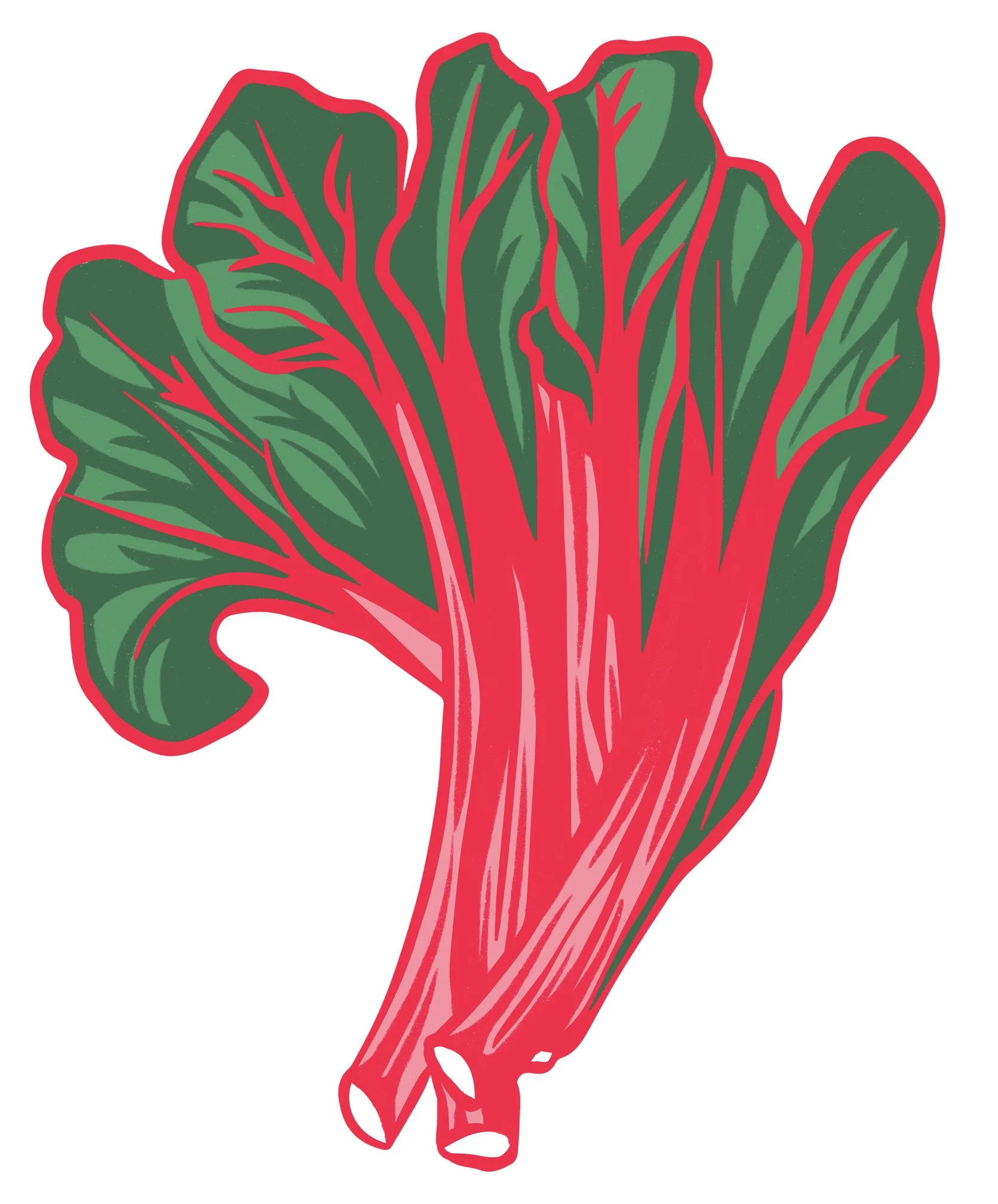 Illustration of a stalk of Swiss chard with green leaves and red stems.