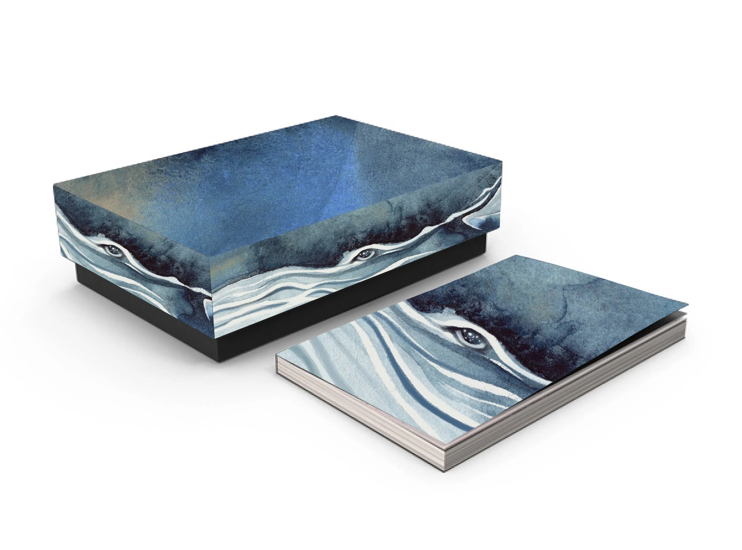 The Inner Sea *PRE-ORDER*