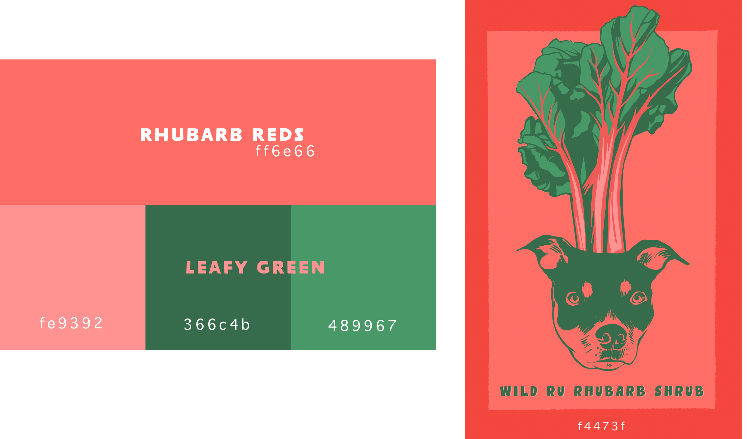 Illustration of a rhubarb plant with large green leaves and pink stalks, drawn as a dog with a red background. The text reads 'Wild Ru Rhubarb Shrub' and a color code of f4473f.