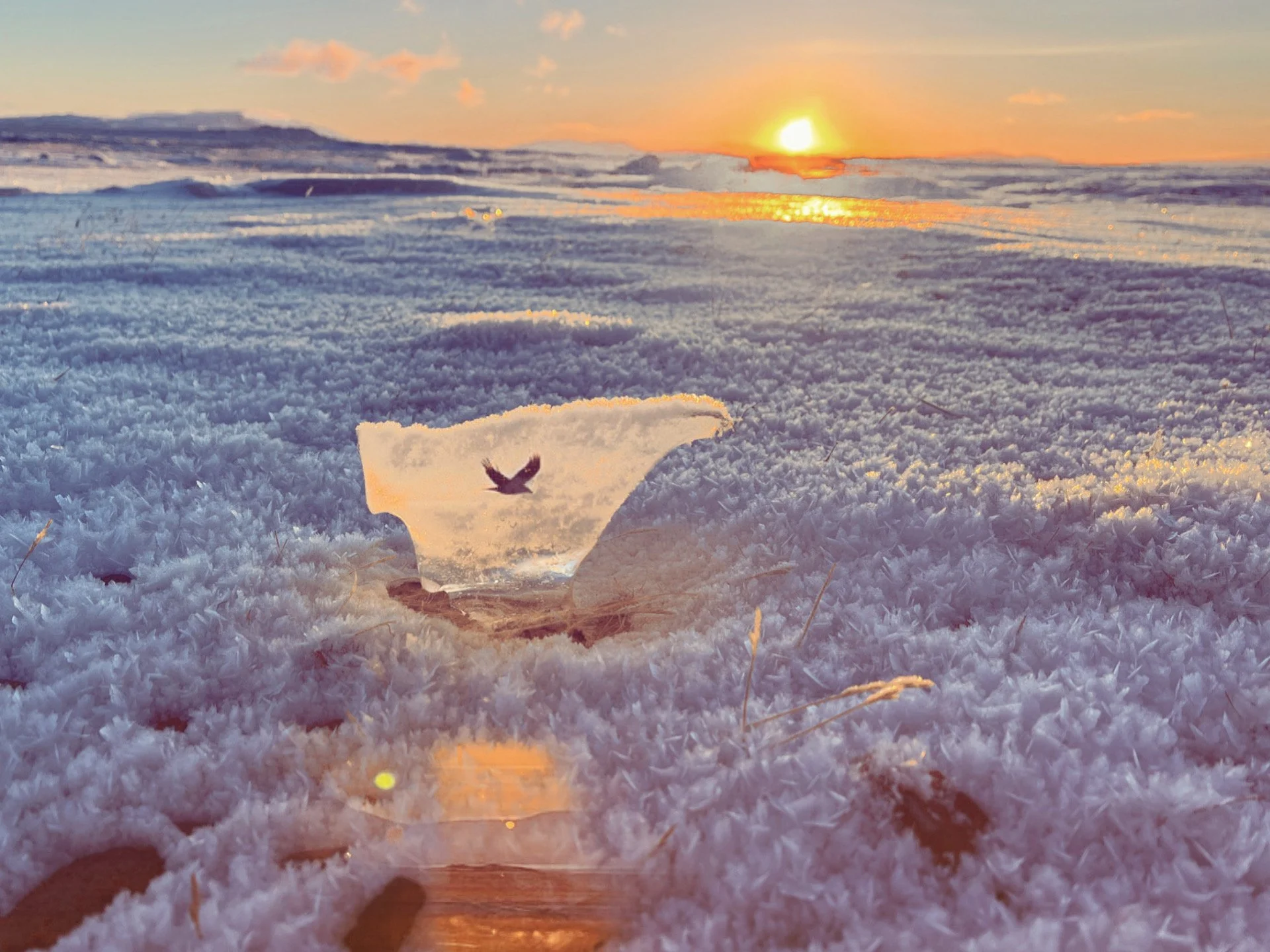 Close-up of a snow-covered surface with a broken ice sheet reflecting a bird and sunset in the background.