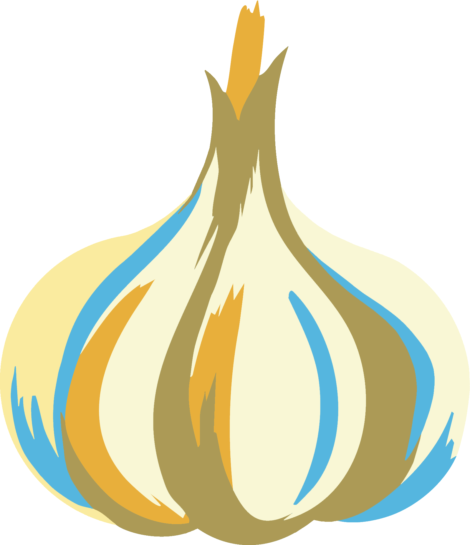 Illustration of a garlic bulb with its papery skin and cloves visible.