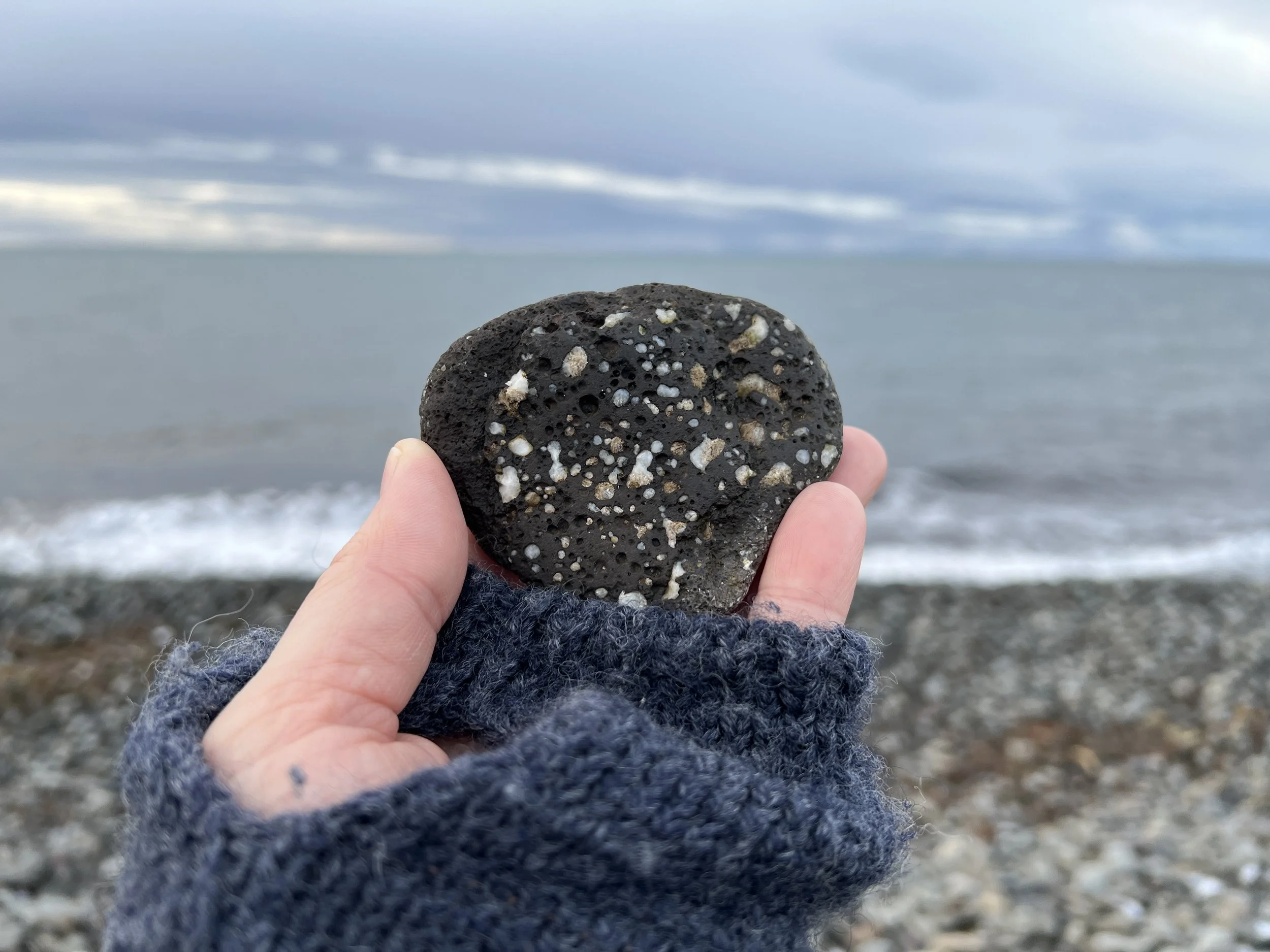 A hand holding a black volcanic rock with white and gray mineral inclusions on a beach, with the ocean and cloudy sky in the background.