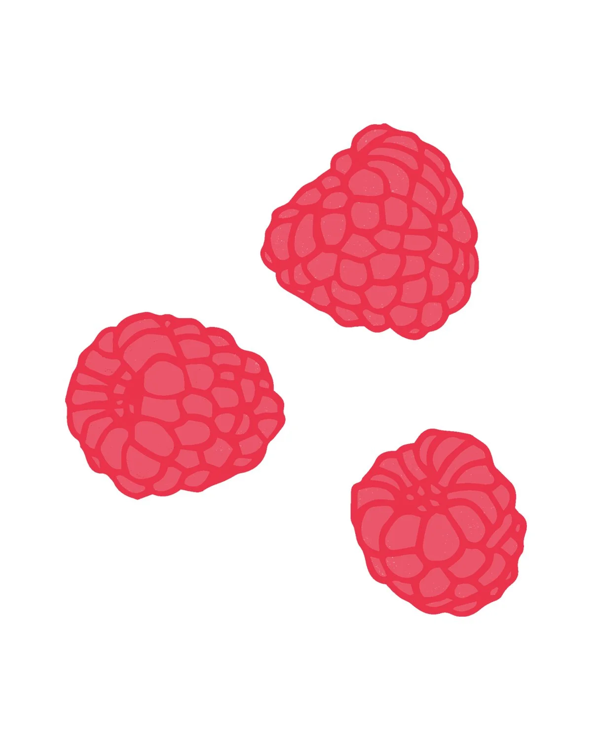 Three pink raspberries on a white background.