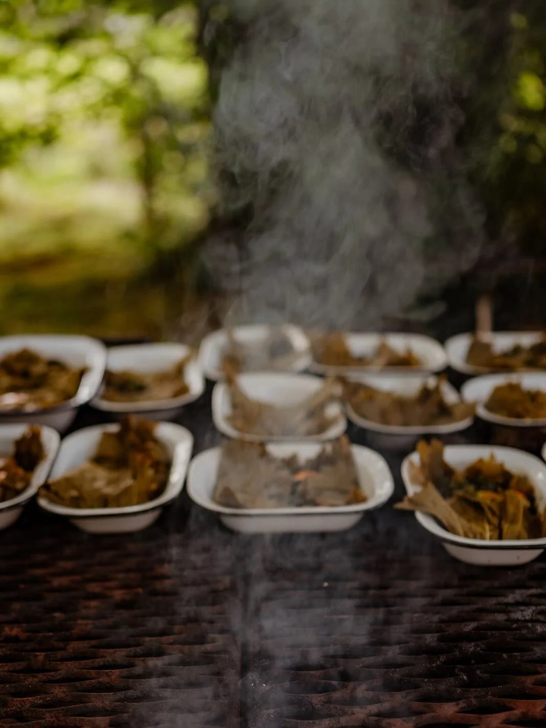 BRUNCH 23/8
Bbq Green eggs cooked in vine leaves, kraut and guanciale
Morangie brie wrapped in fig leaves and heather honeycomb 
Smokey courgette and tahini dip, focaccia and crudit&eacute;s 
Summer salad, herb and horseradish vinegarette 
Bbq berrie