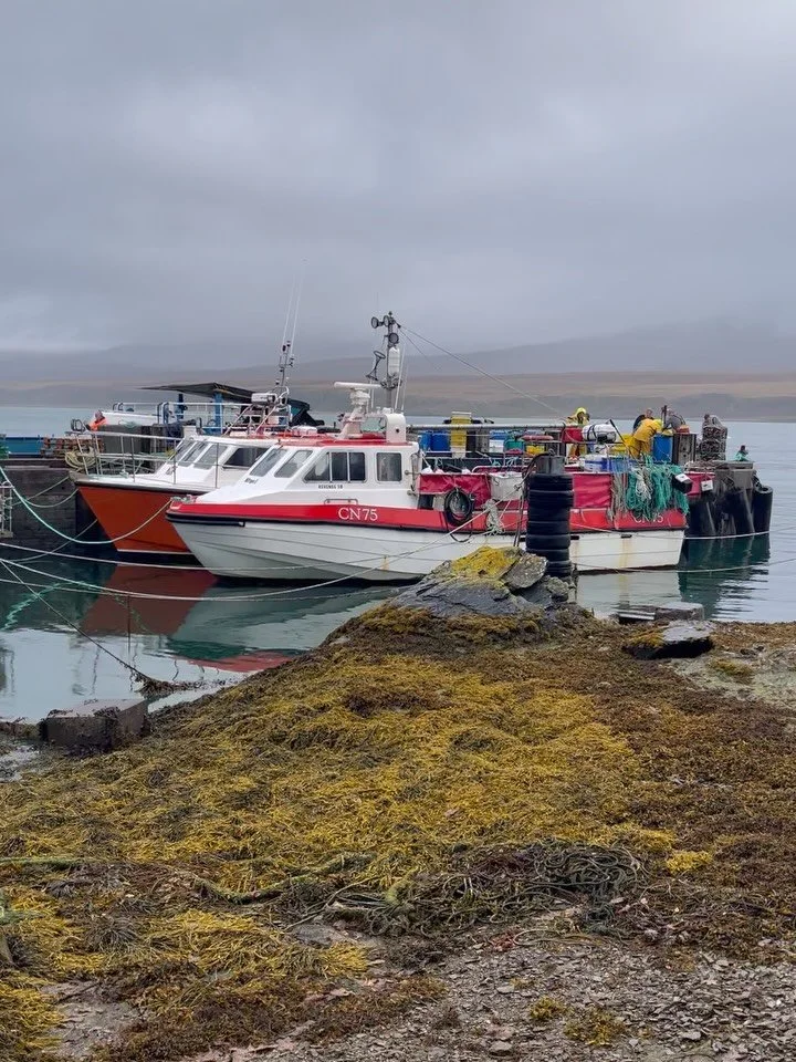 Tough gig being a fisherman, very grateful to be able to use Islay lobster and crab straight off the boat ⚓️🦞 
Scottish seafood | private chef Scotland