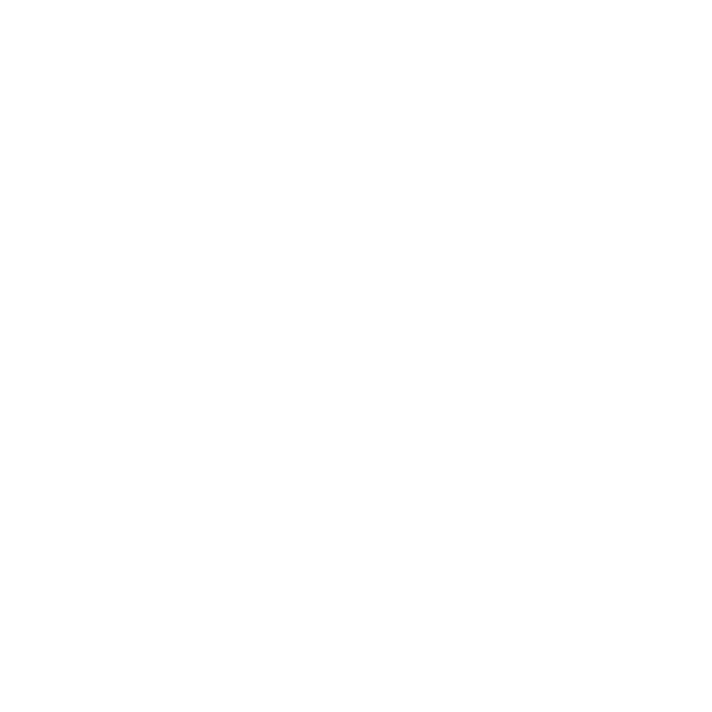 Traveling with Anjali