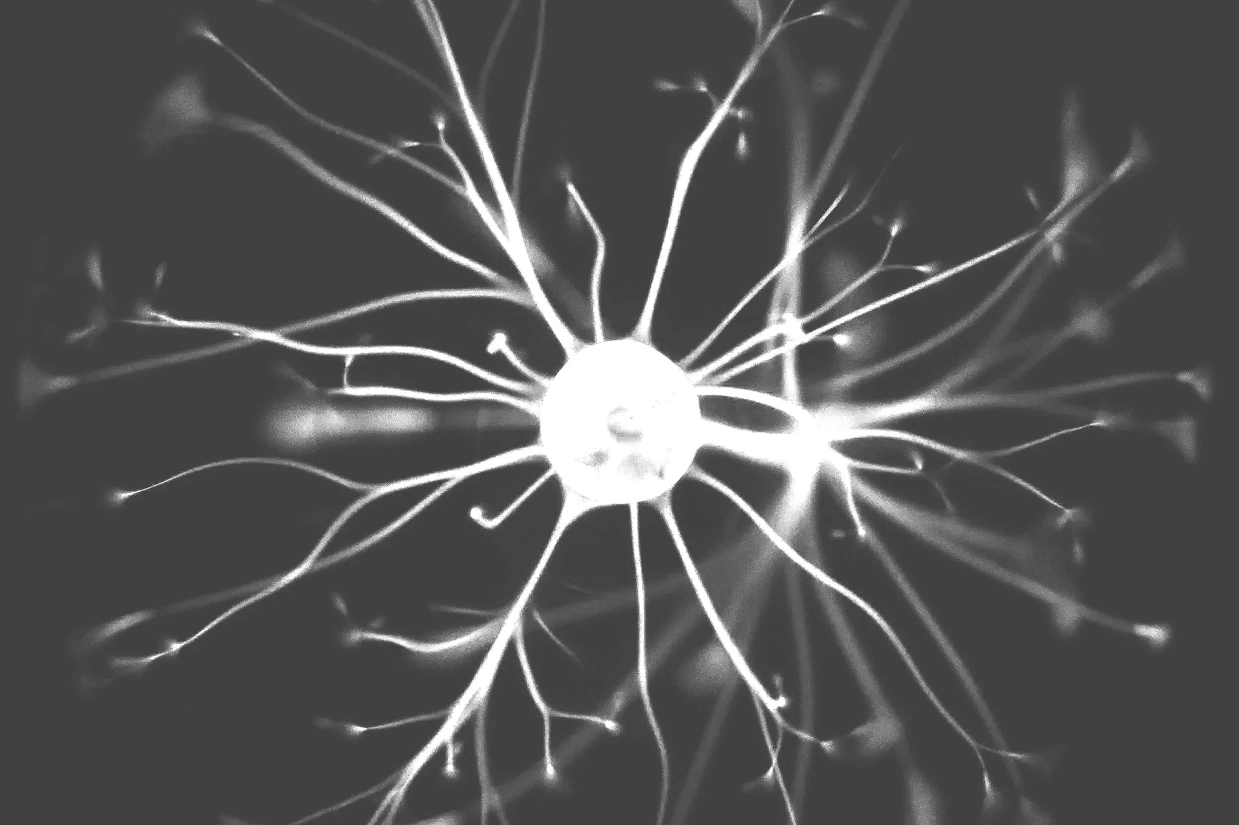 An electroluminescent or glowing neuron with multiple branching dendrites extending from a central cell body.