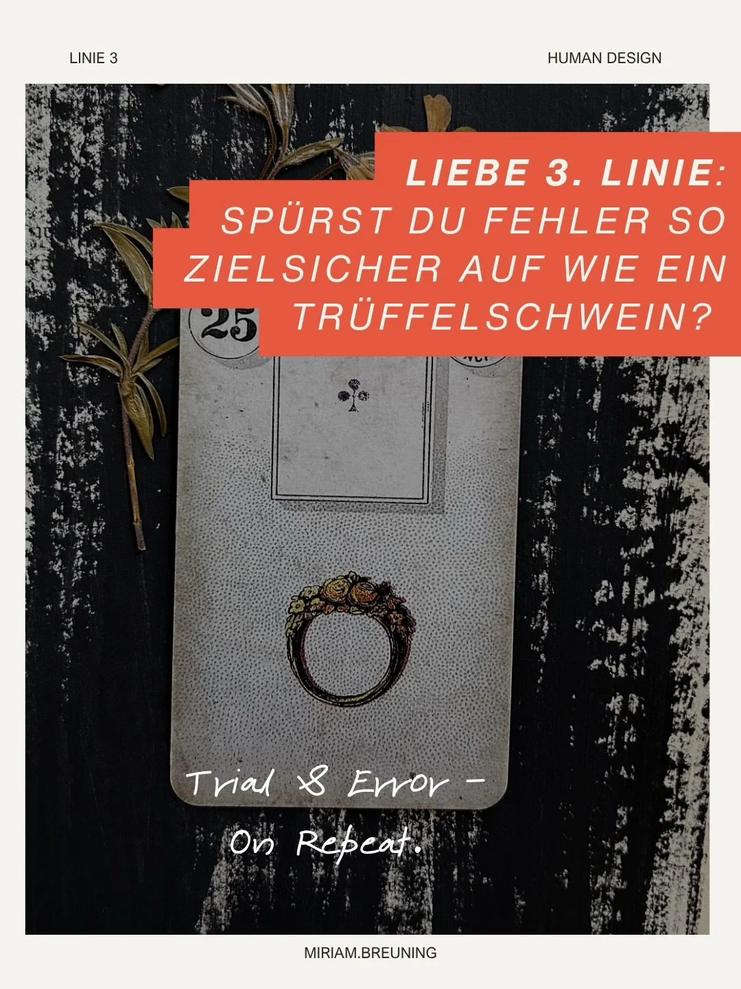 Everyone has a unique gift to bring to the world

Hi ich bin @miriam.breuning , meine Kundinnen kreieren sich selbstwirksam ein Leben in Einlang mit ihrem inneren Ruf und ihrer energetischen Signatur.

❥ Folge mir und ich zeige dir, wie du dein Wirke