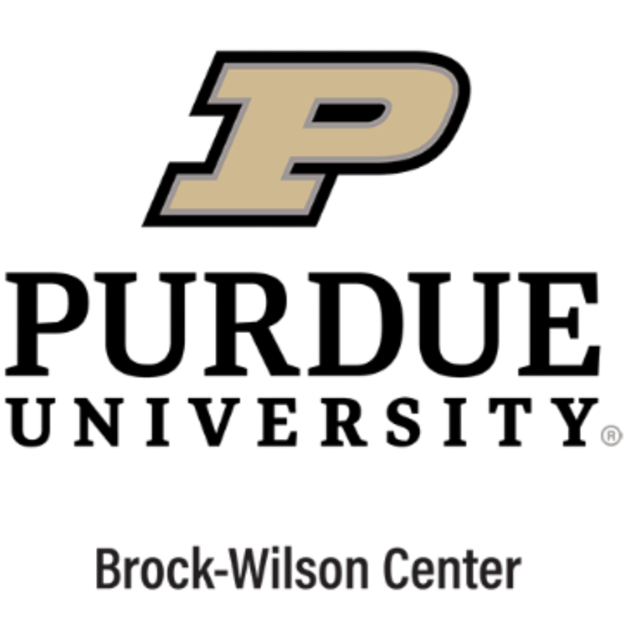 Indiana University-Purdue University Indianapolis logo with text 'IUPUI' and 'Brock-Wilson Center'.