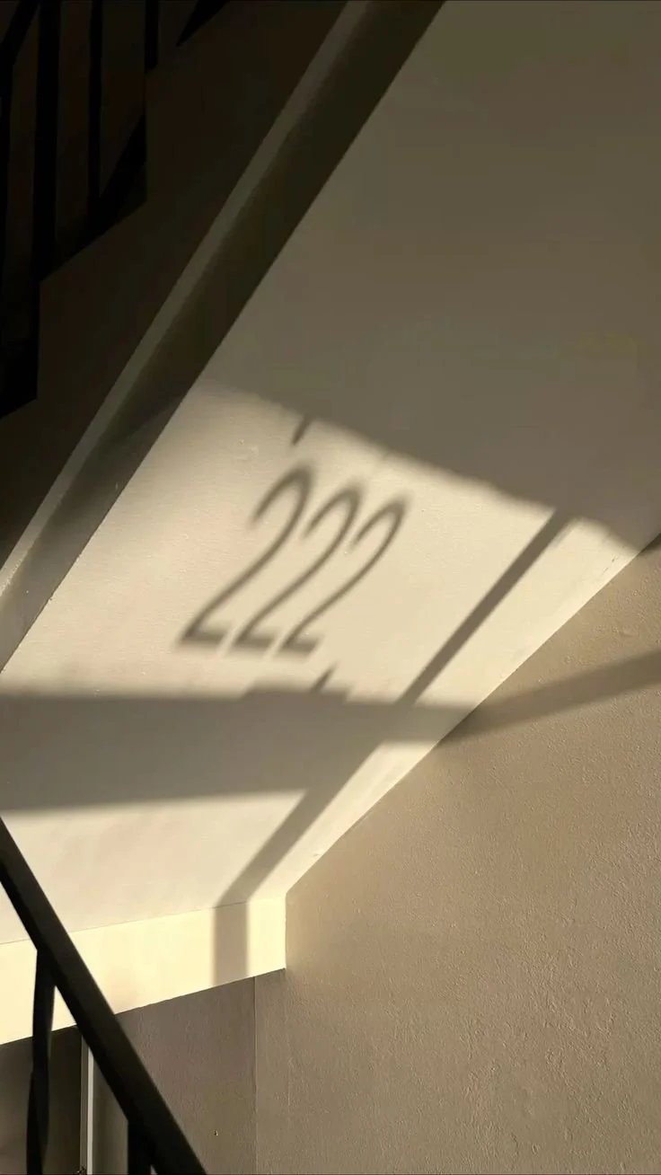 222 wall.jpg