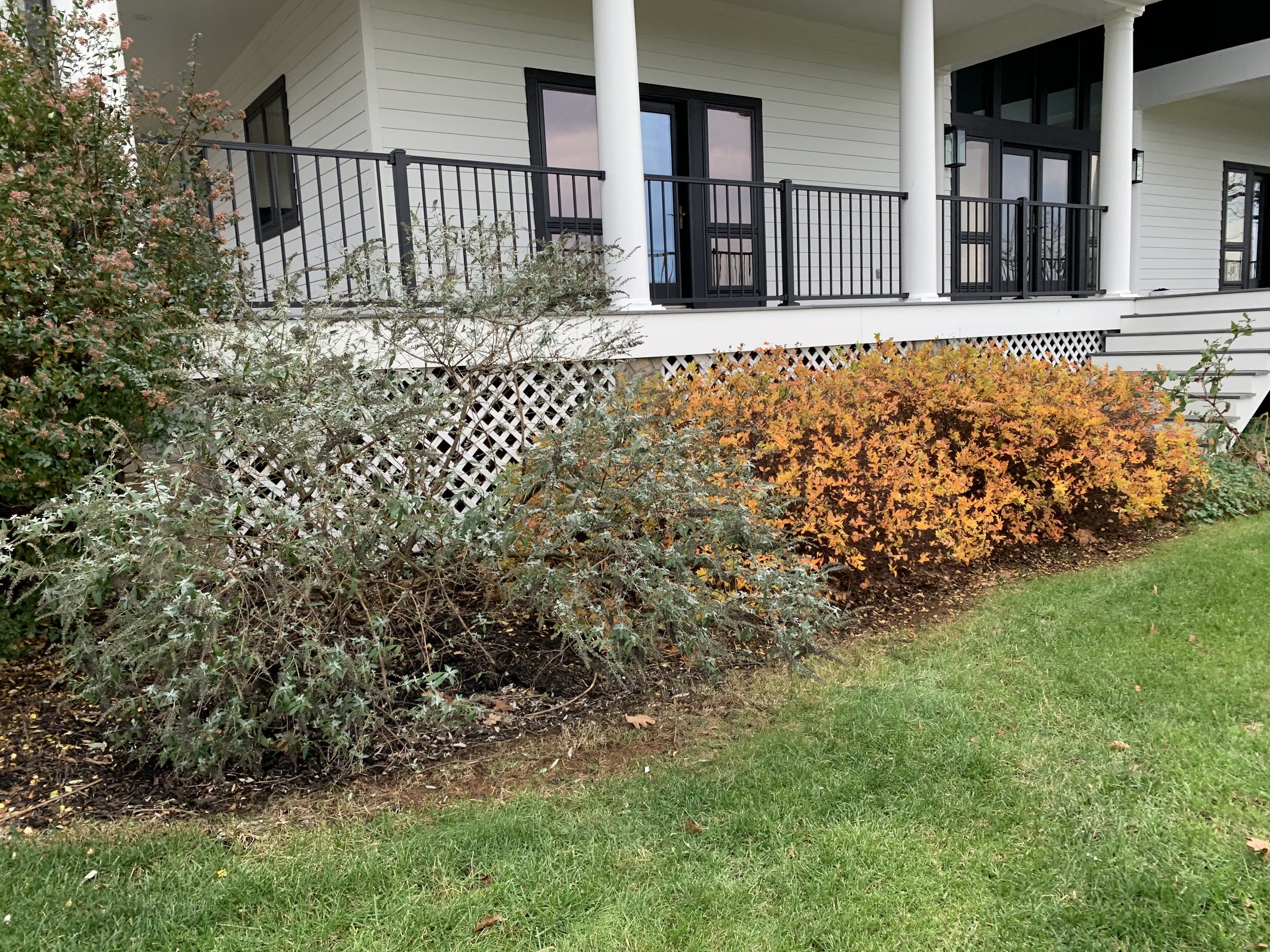 Fine Gardening Design Landscape Charlottesville Virginia