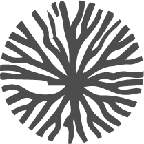 The Logo of Mirow Landscapes , a design build landscape company in Charlottesville Virginia