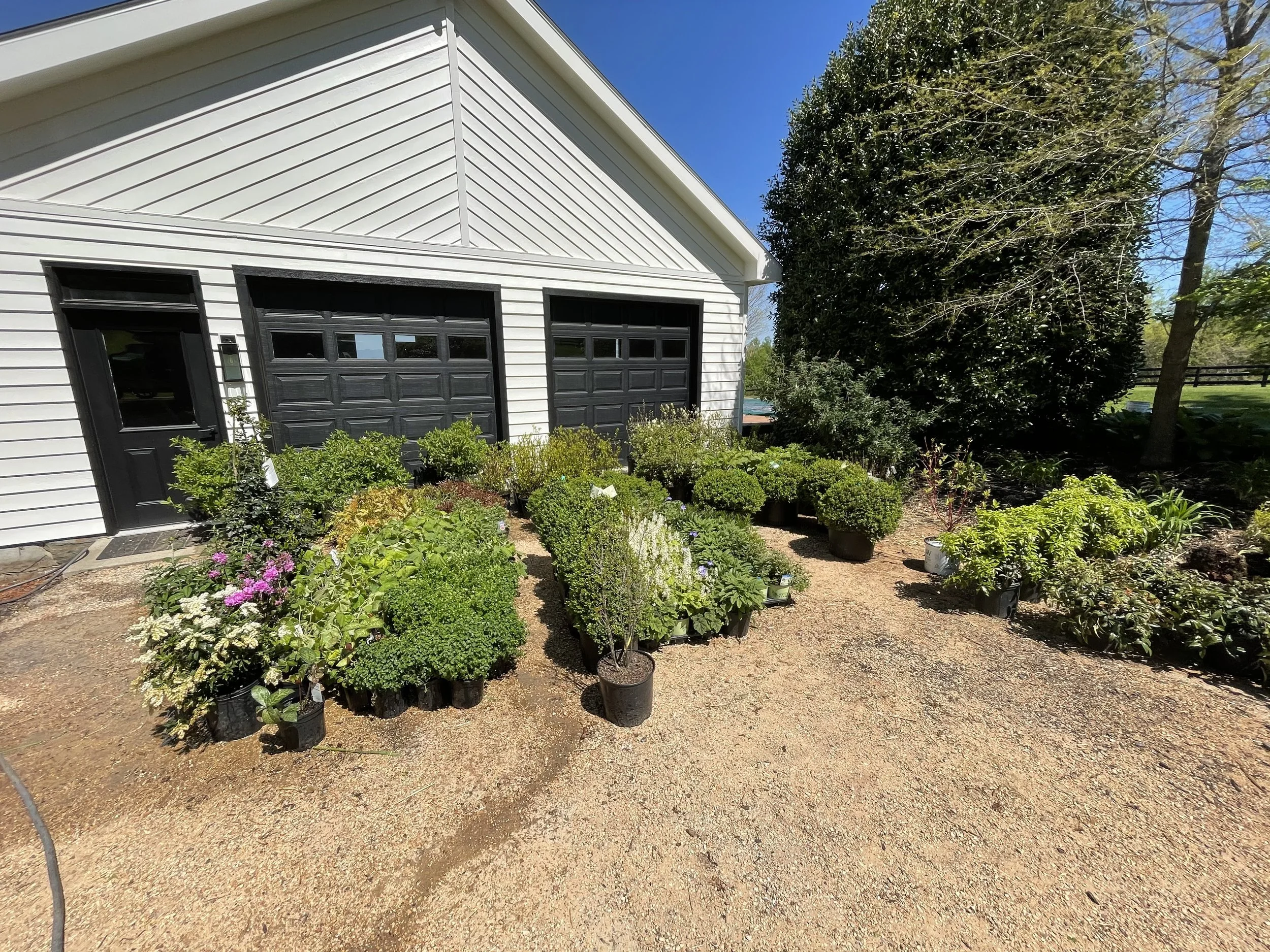 Plants Installed Estate Earlysville Free Union Dyke Virginia