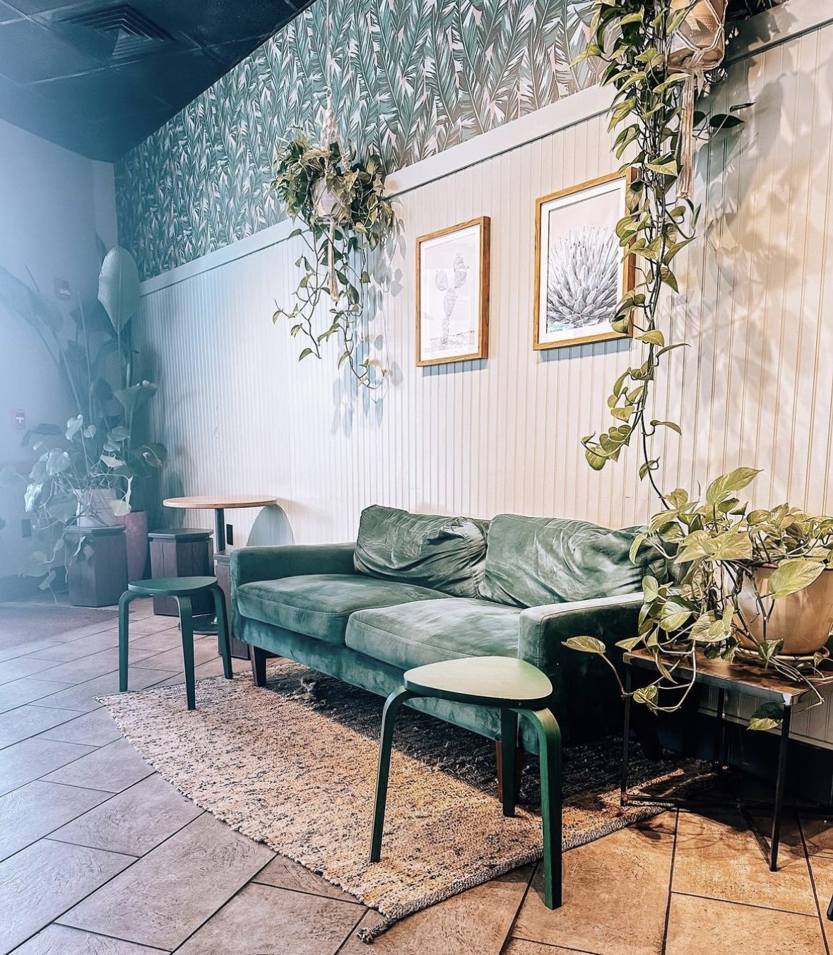 A green couch inside a coffee shop with artwork above it and plants surrounding it