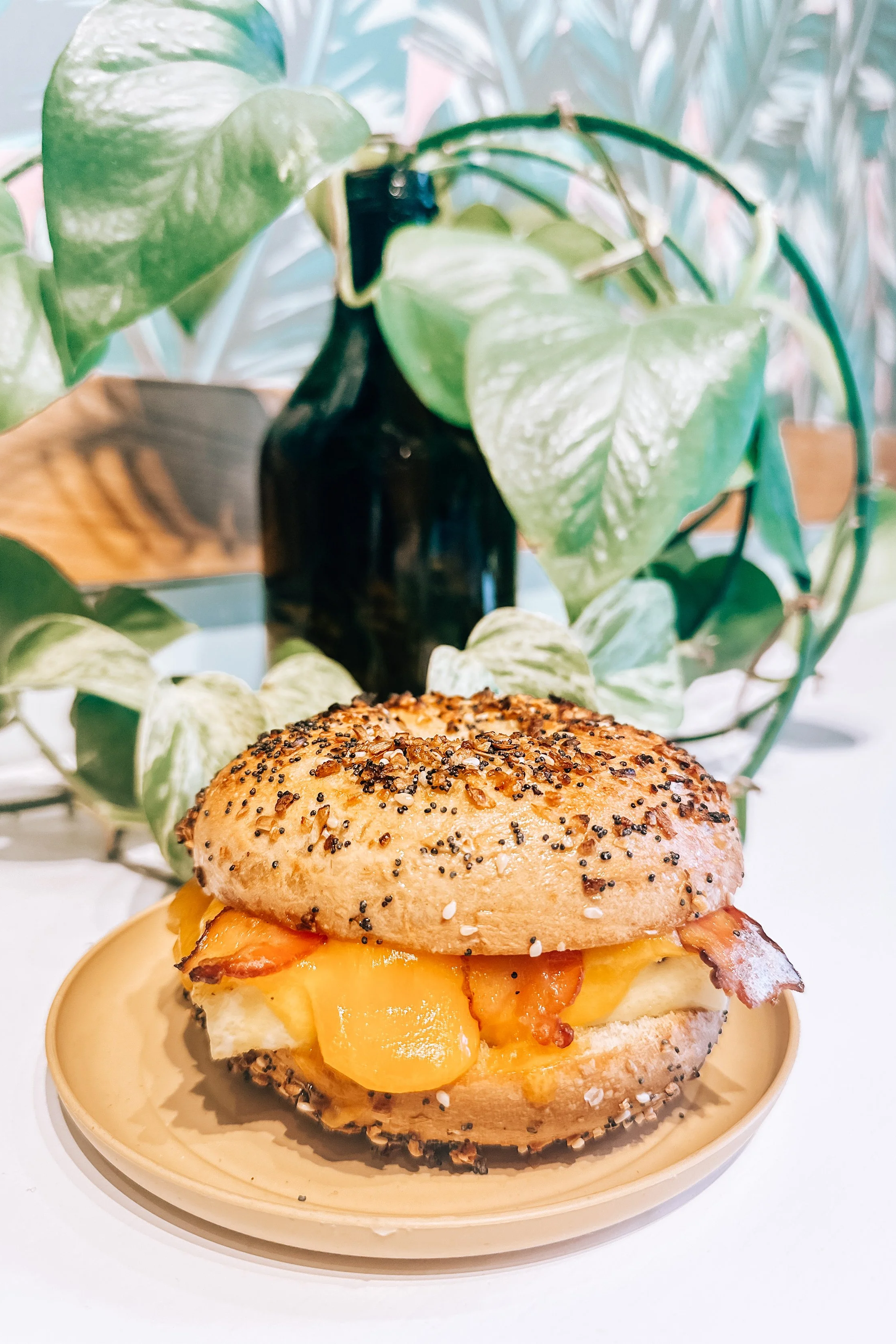 A breakfast sandwich made of an everything bagel with egg, cheese and bacon sits on a plate in front of a houseplant