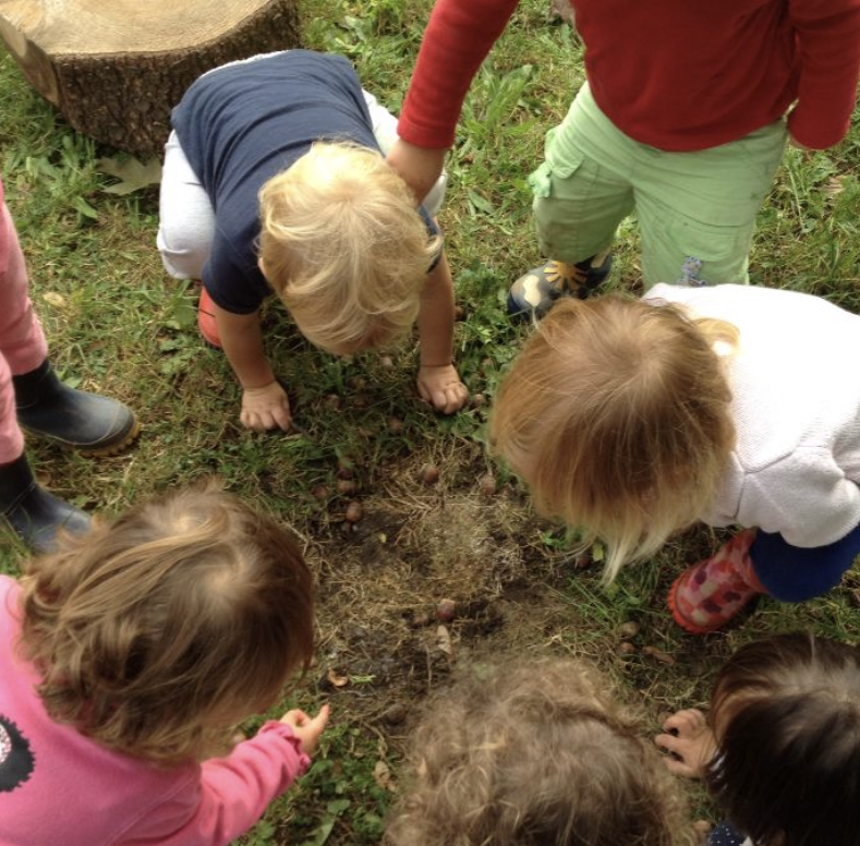 babysitting in flagstaff Arizona