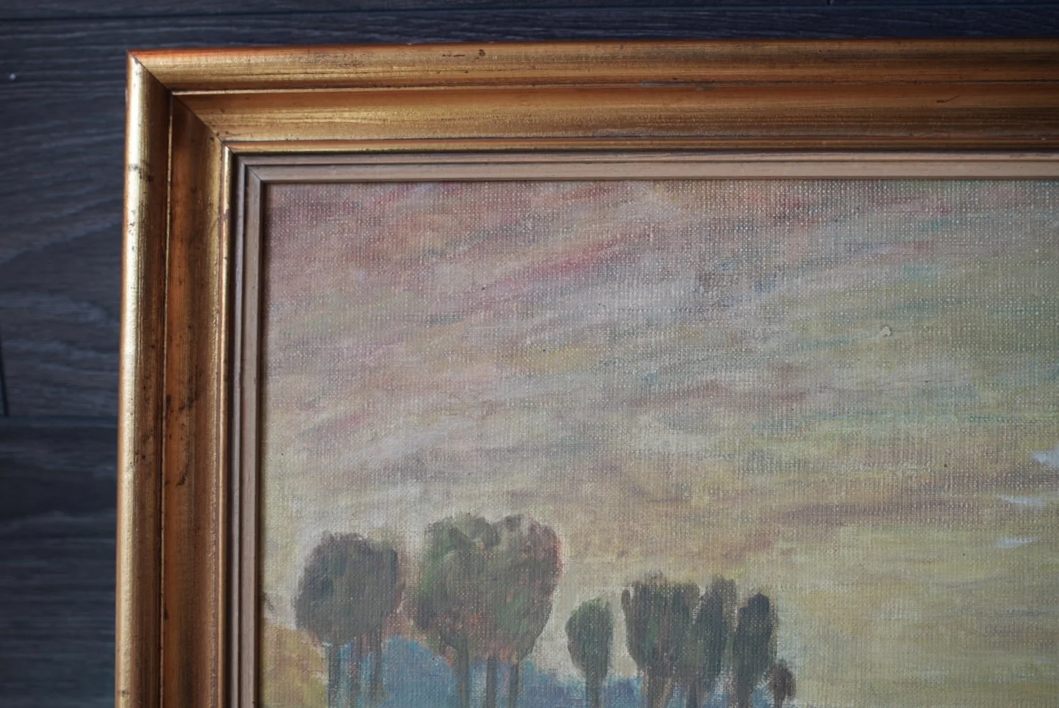 DSC01047.jpg