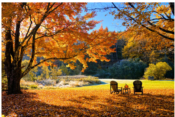 Autumn Fades