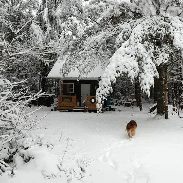 Heartwood: The Quiet Path Home